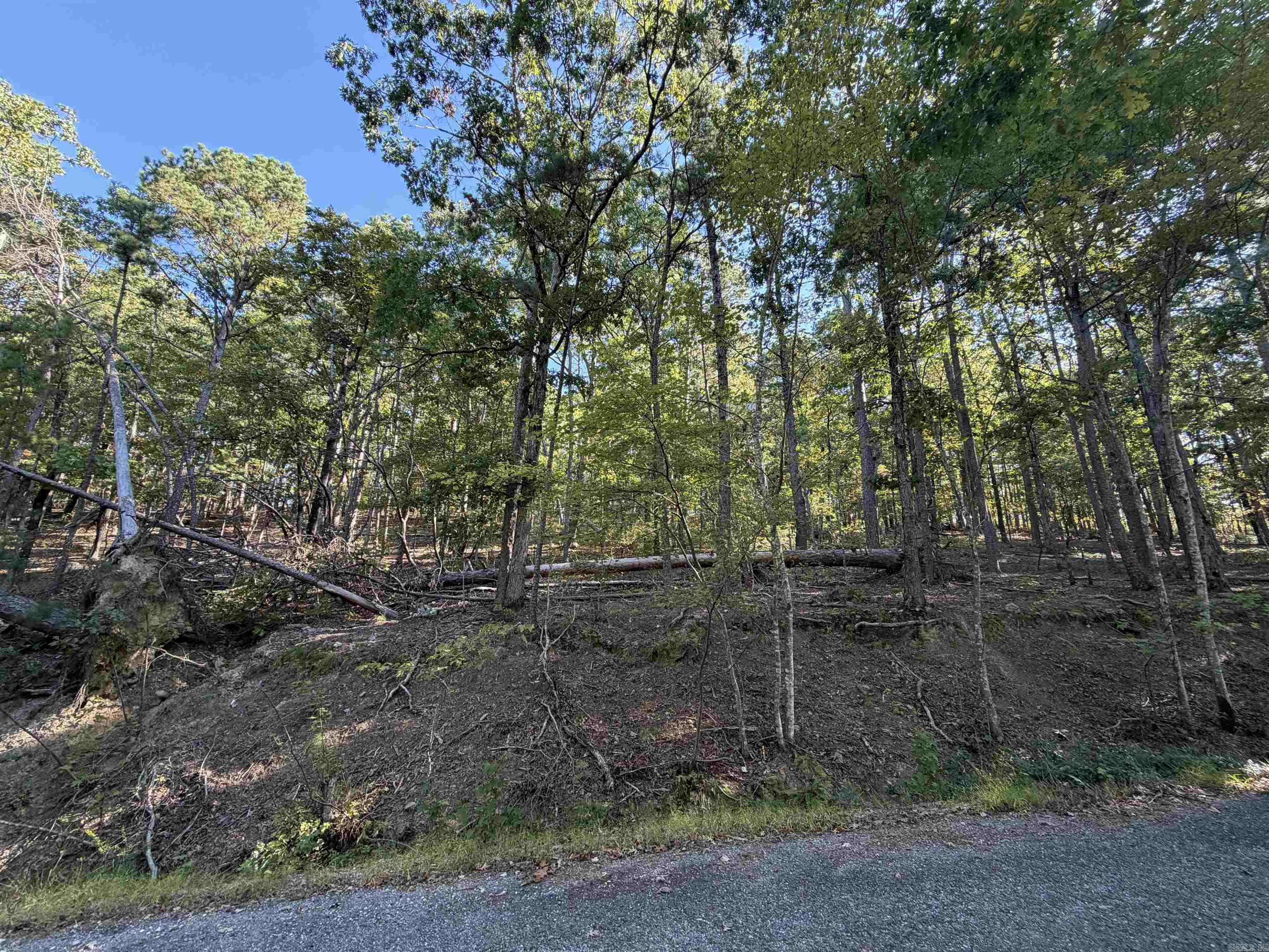 00 Gabriela  Hot Springs Village, AR