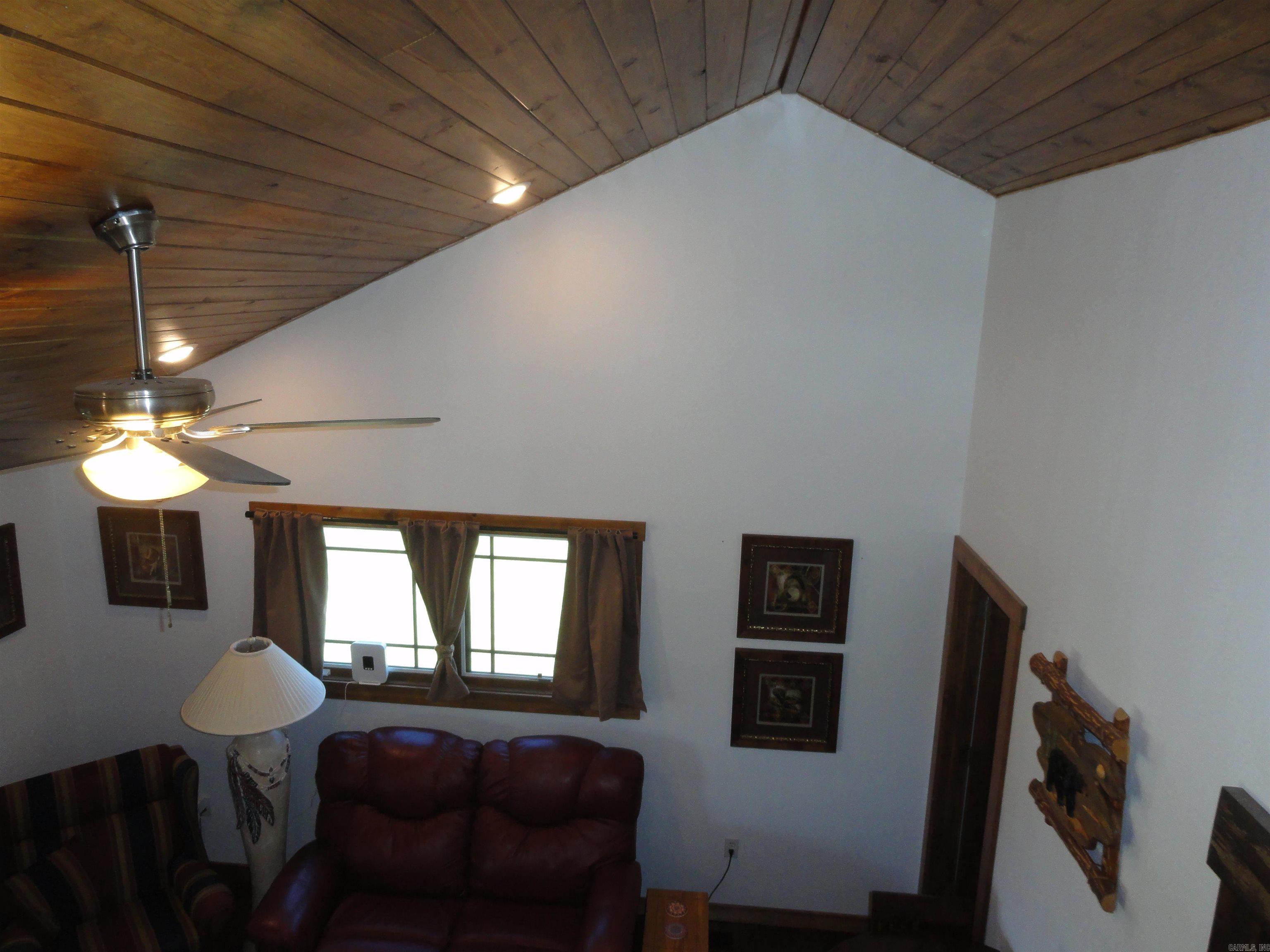 104 Kenzo  Saint Joe, AR