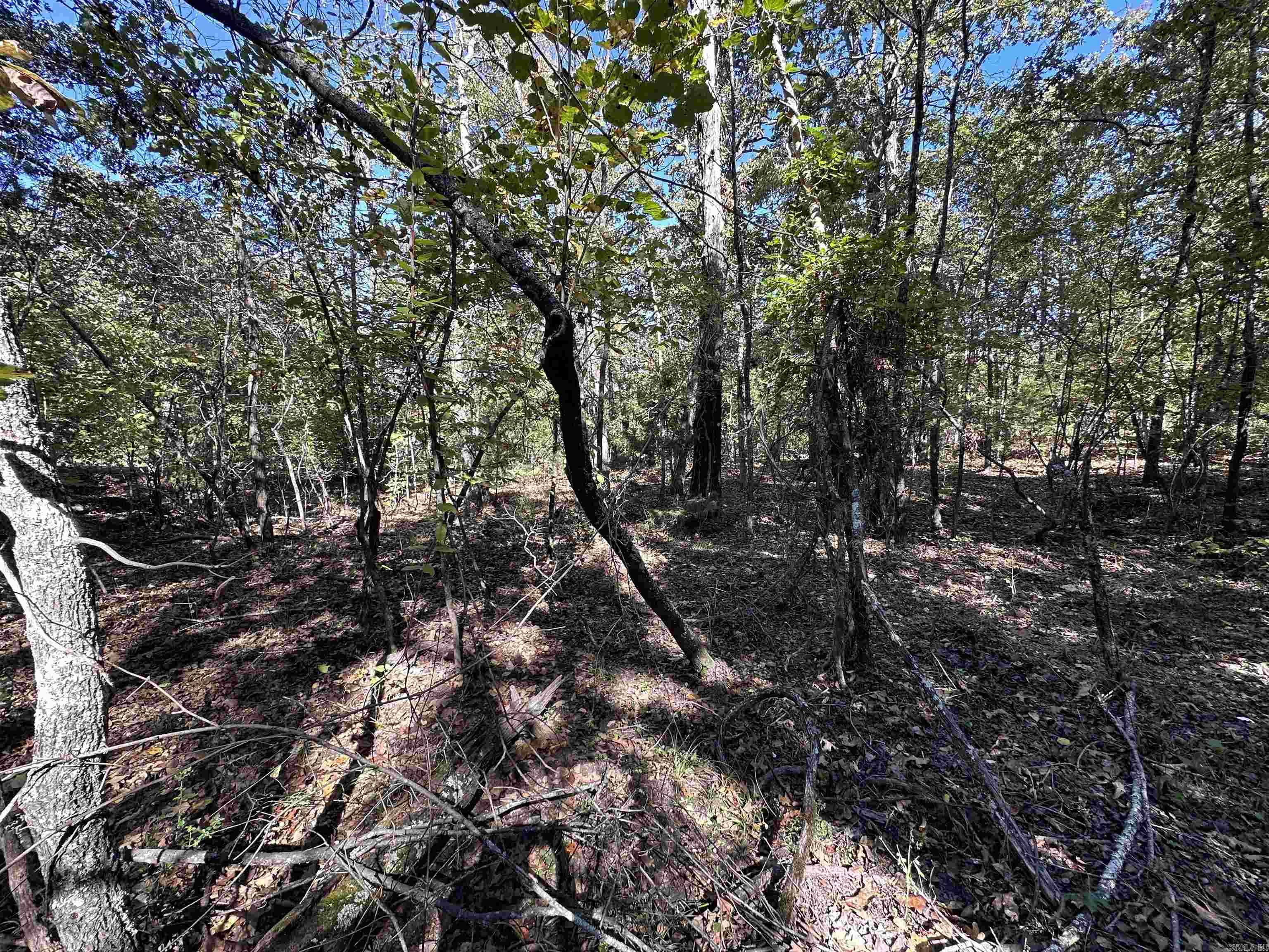 1406 Parkway Ln  Horseshoe Bend, AR