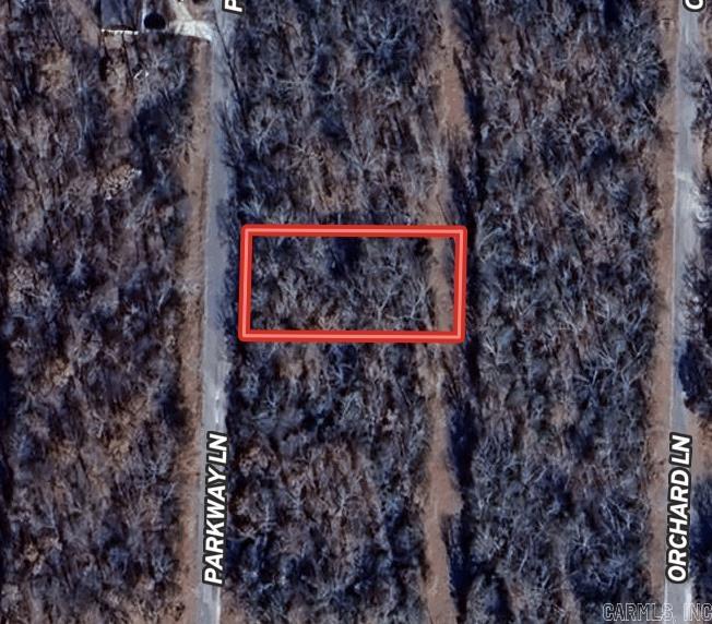 1406 Parkway Ln  Horseshoe Bend, AR