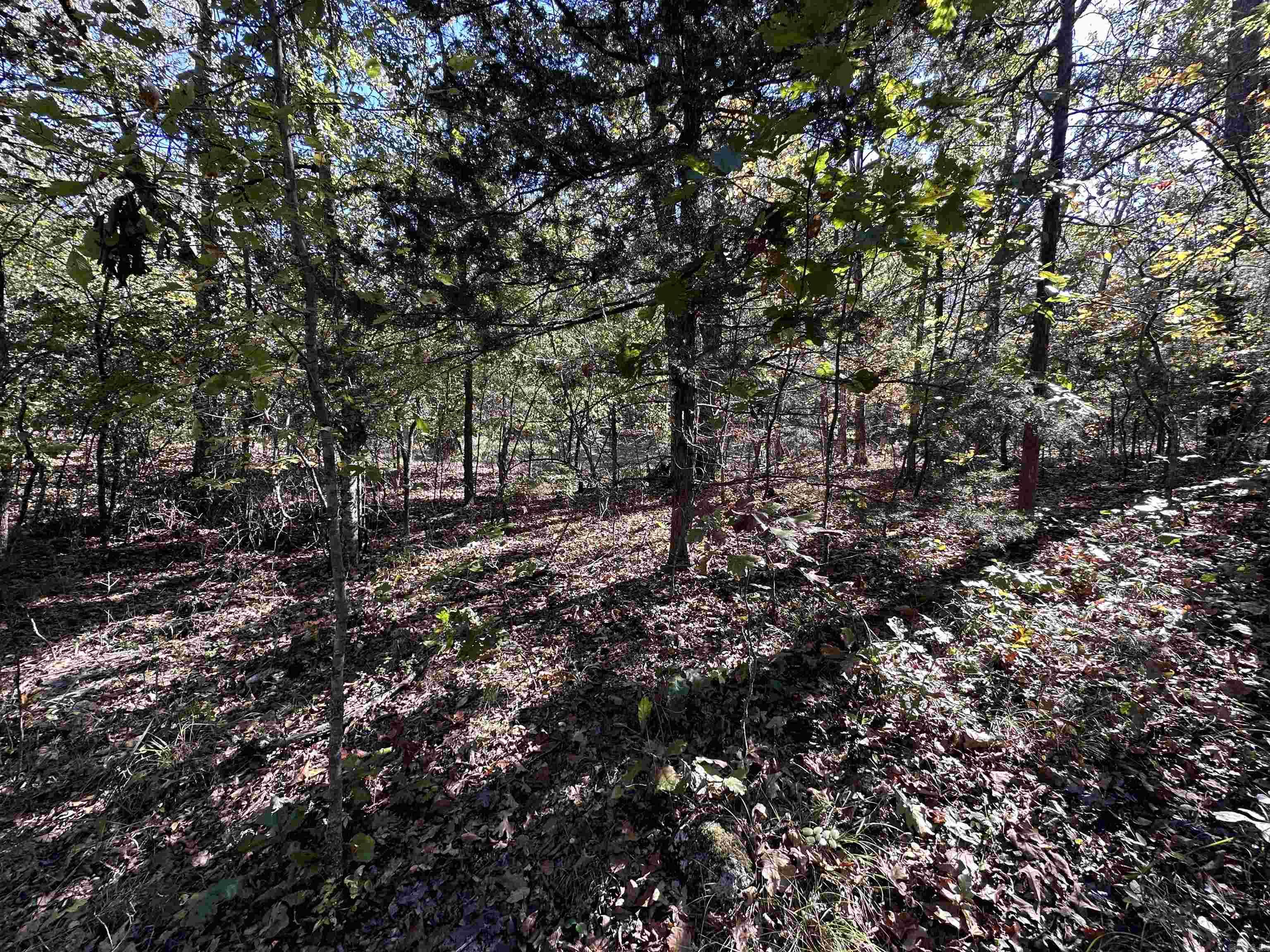 1406 Parkway Ln  Horseshoe Bend, AR