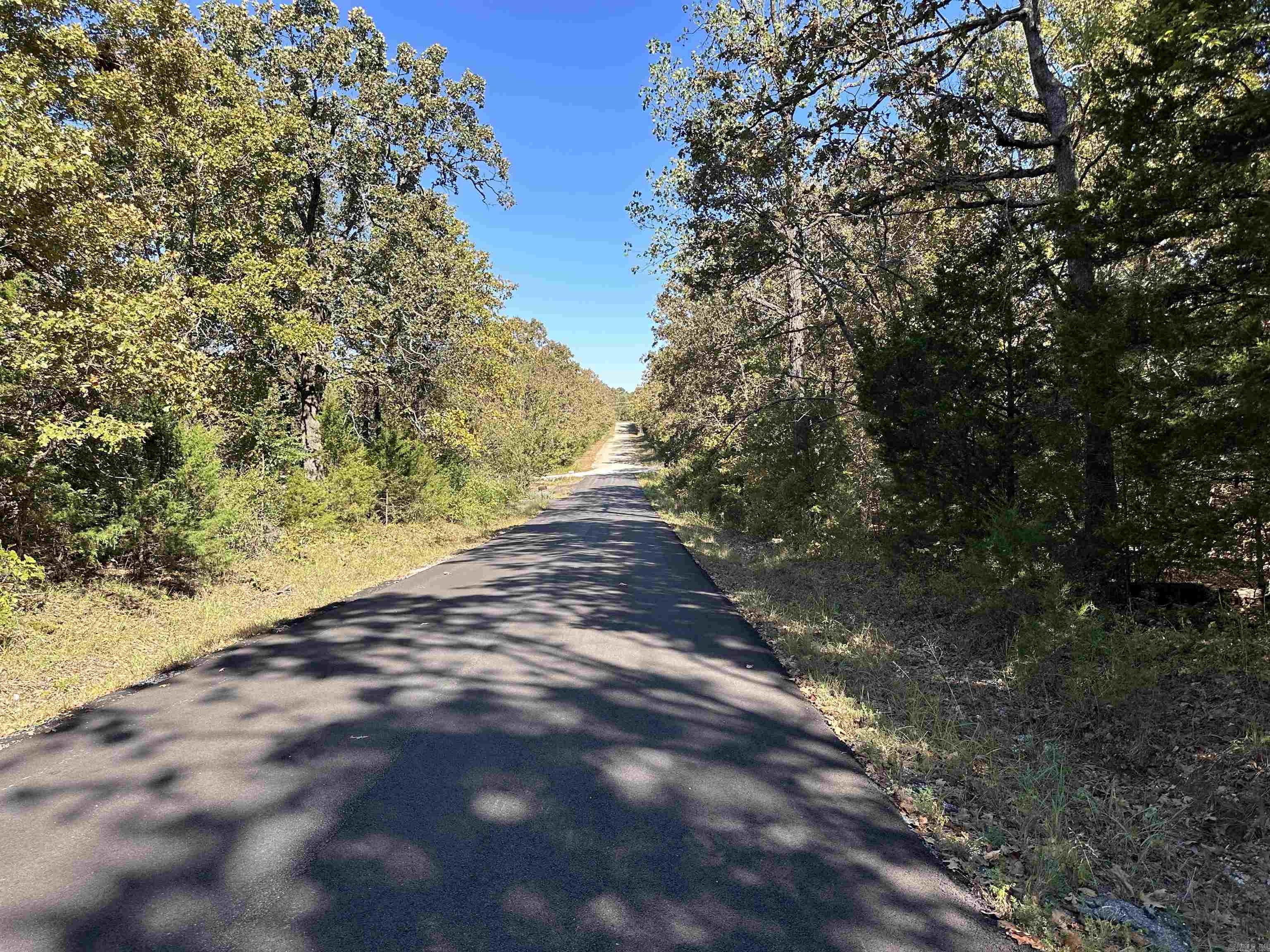 1406 Parkway Ln  Horseshoe Bend, AR