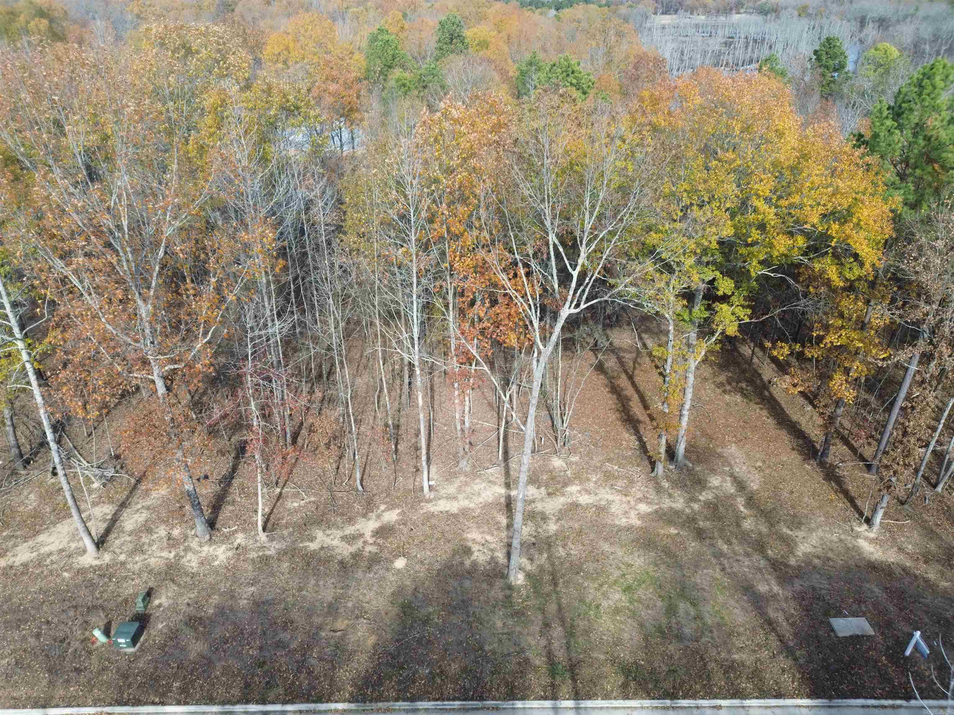 303 Devoe Bend  Maumelle, AR