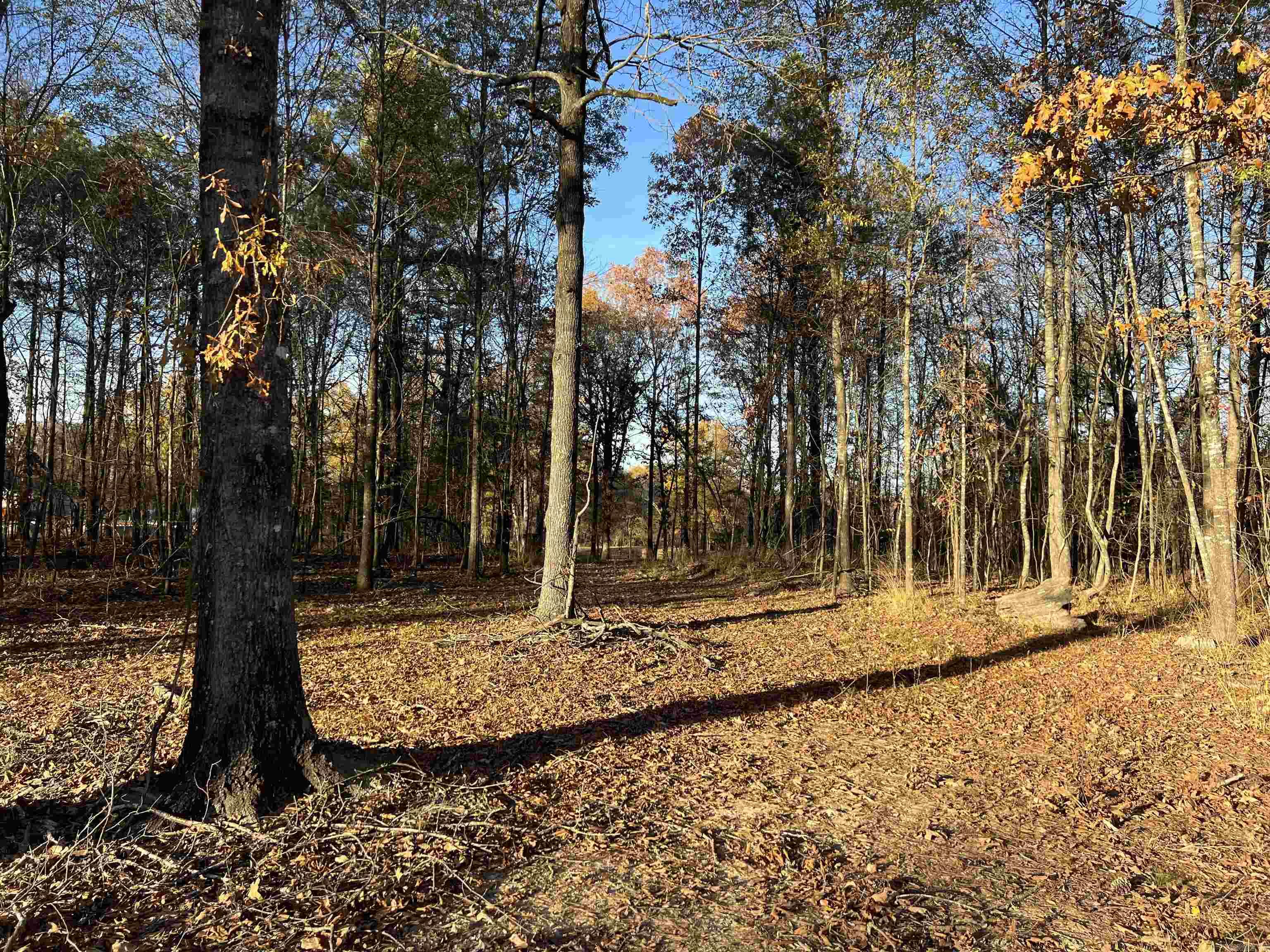 303 Devoe Bend  Maumelle, AR