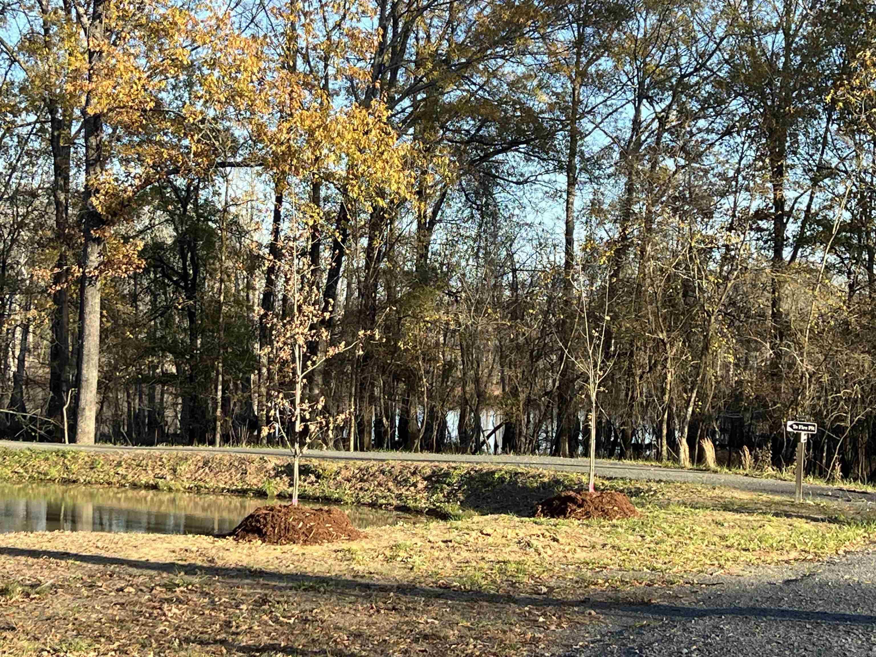 303 Devoe Bend  Maumelle, AR