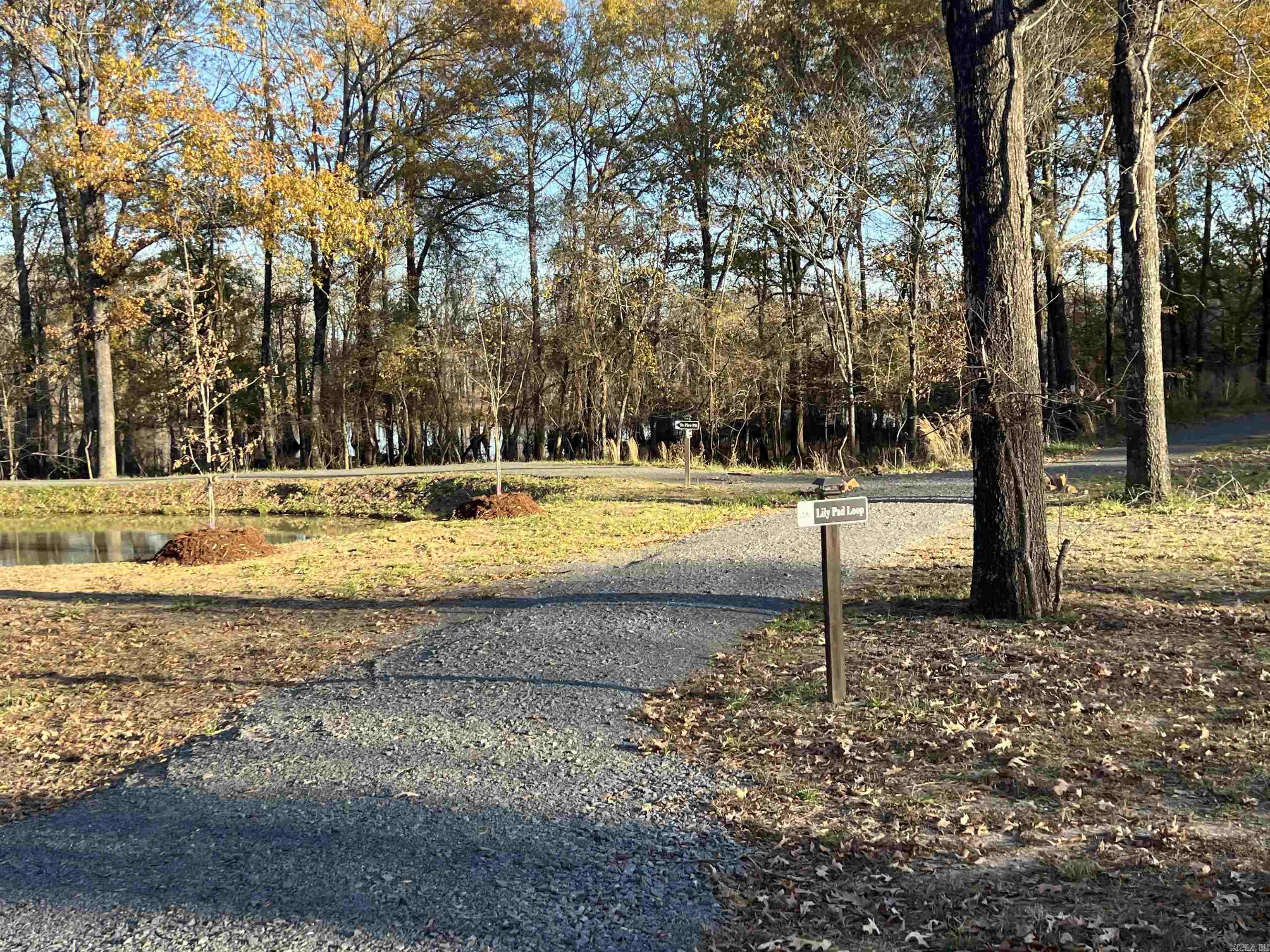 303 Devoe Bend  Maumelle, AR