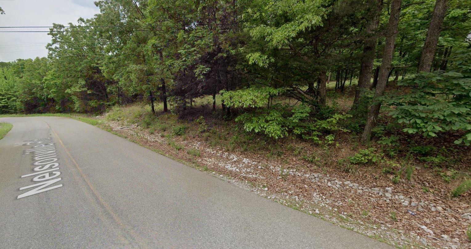 Lot 135 Nelsonville  Smithville, AR