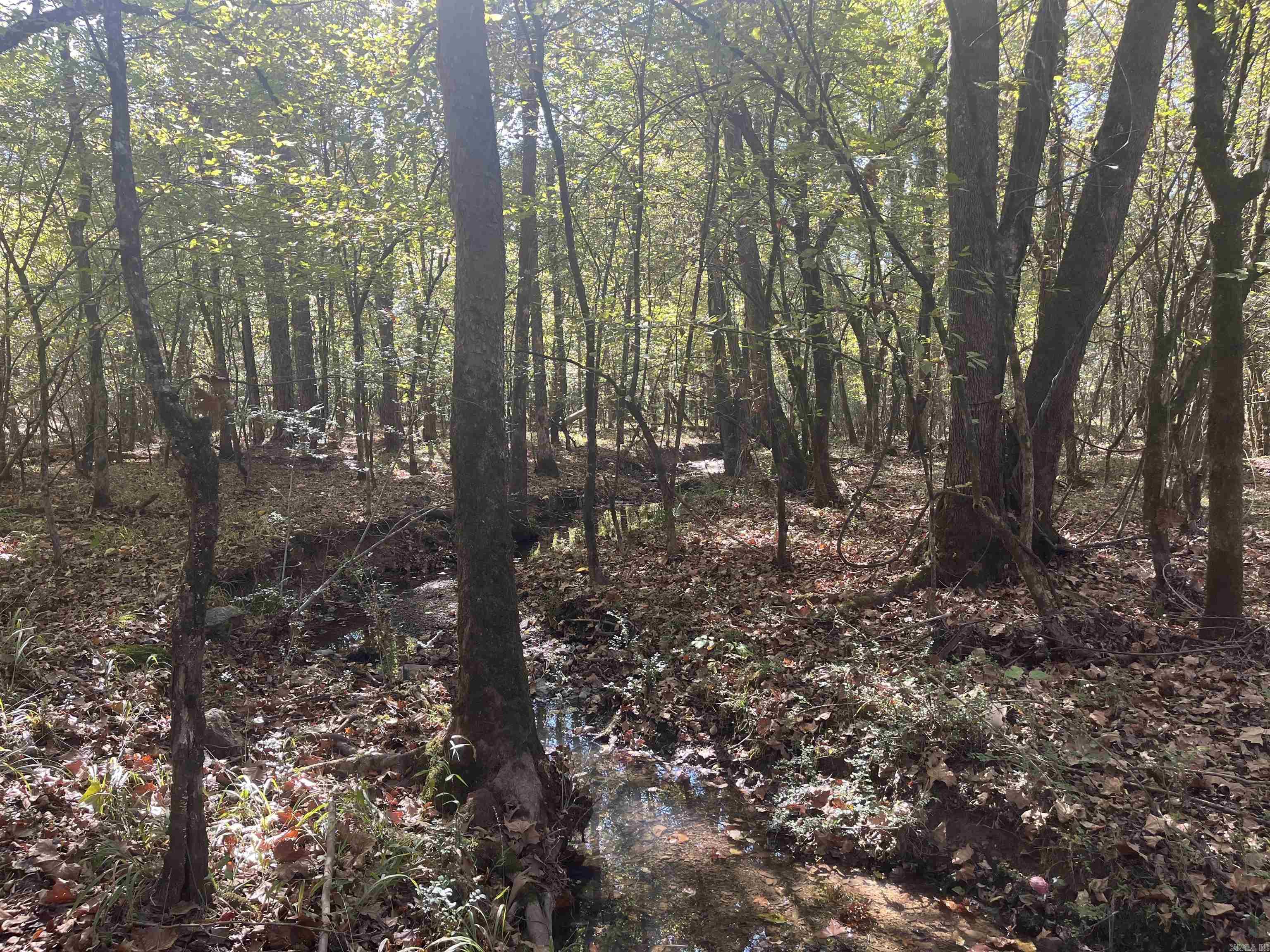 xxx Hwy 8  Norman, AR