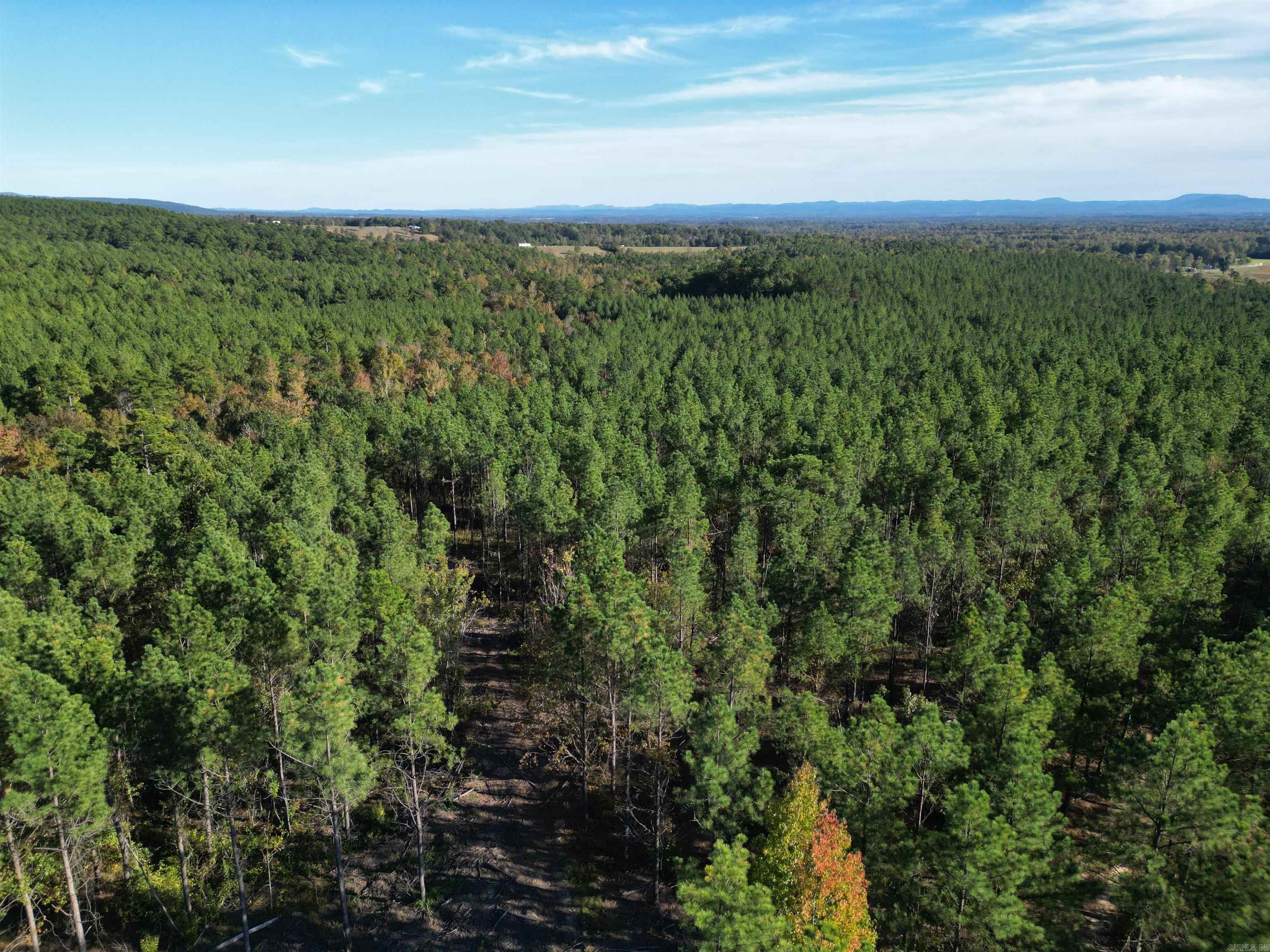 Unk Polk Road 90  Mena, AR