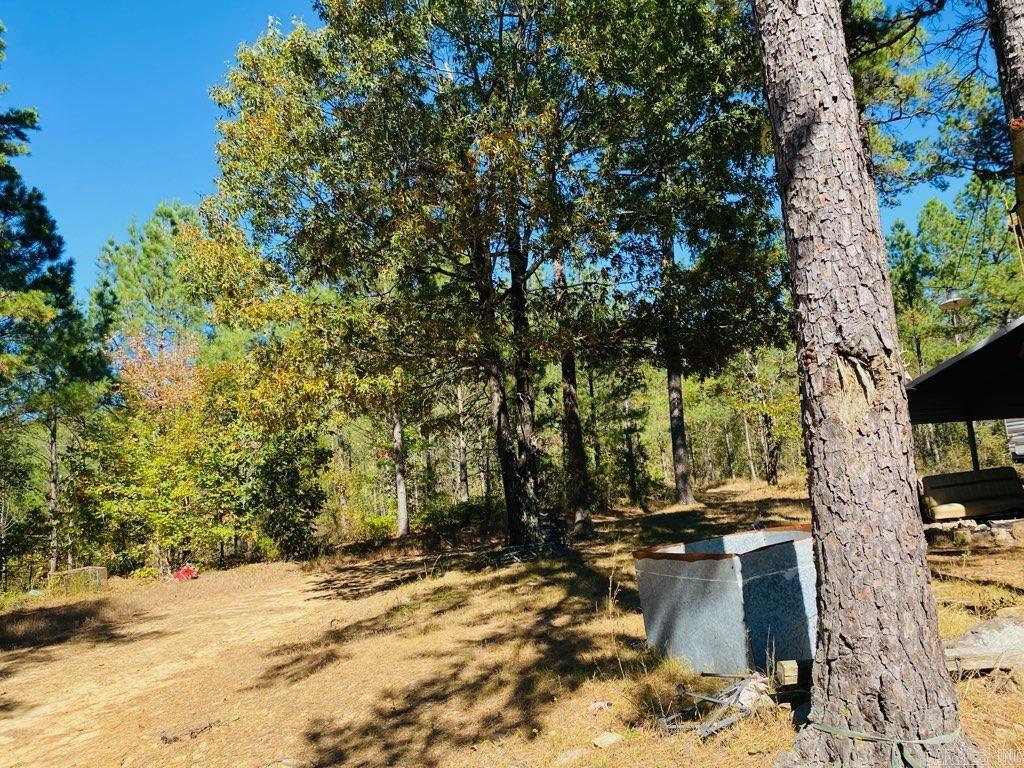 Unk Polk Road 90  Mena, AR