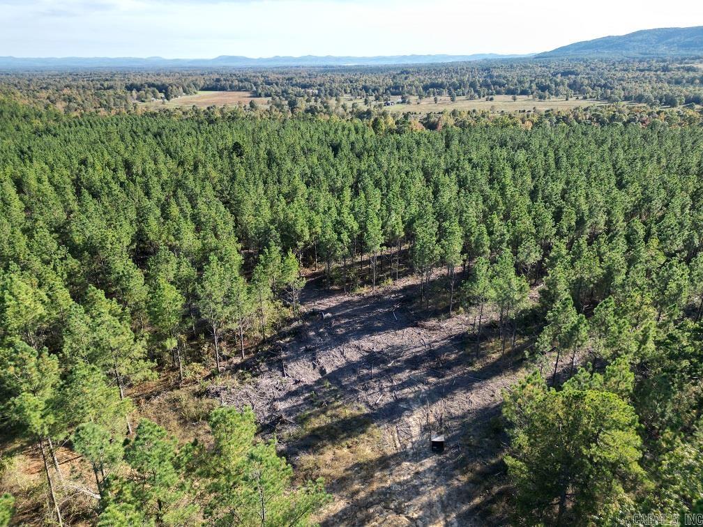 Unk Polk Road 90  Mena, AR