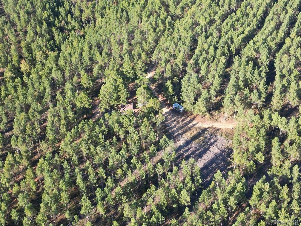 Unk Polk Road 90  Mena, AR