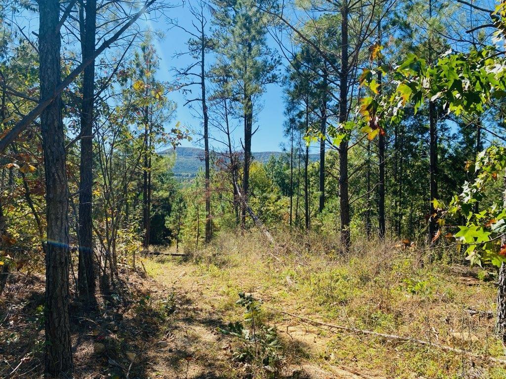 Unk Polk Road 90  Mena, AR