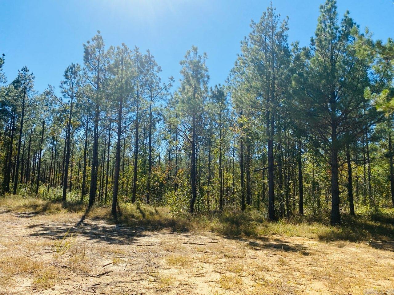 Unk Polk Road 90  Mena, AR