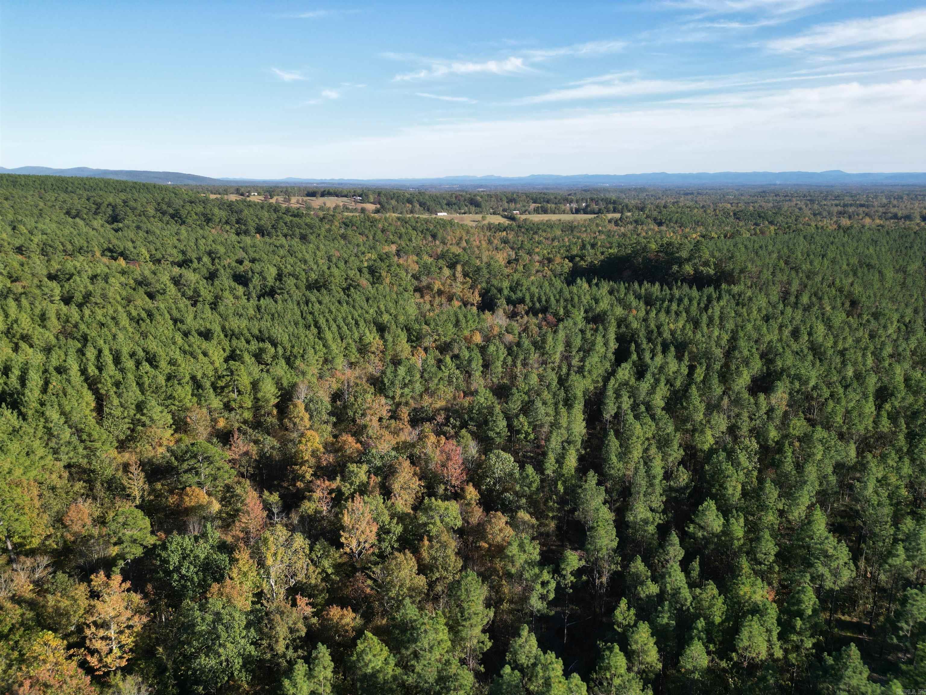 Unk Polk Road 90  Mena, AR