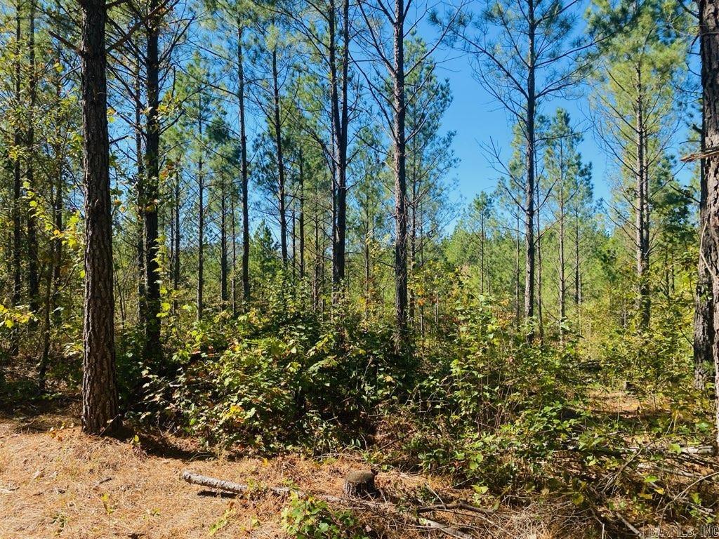 Unk Polk Road 90  Mena, AR