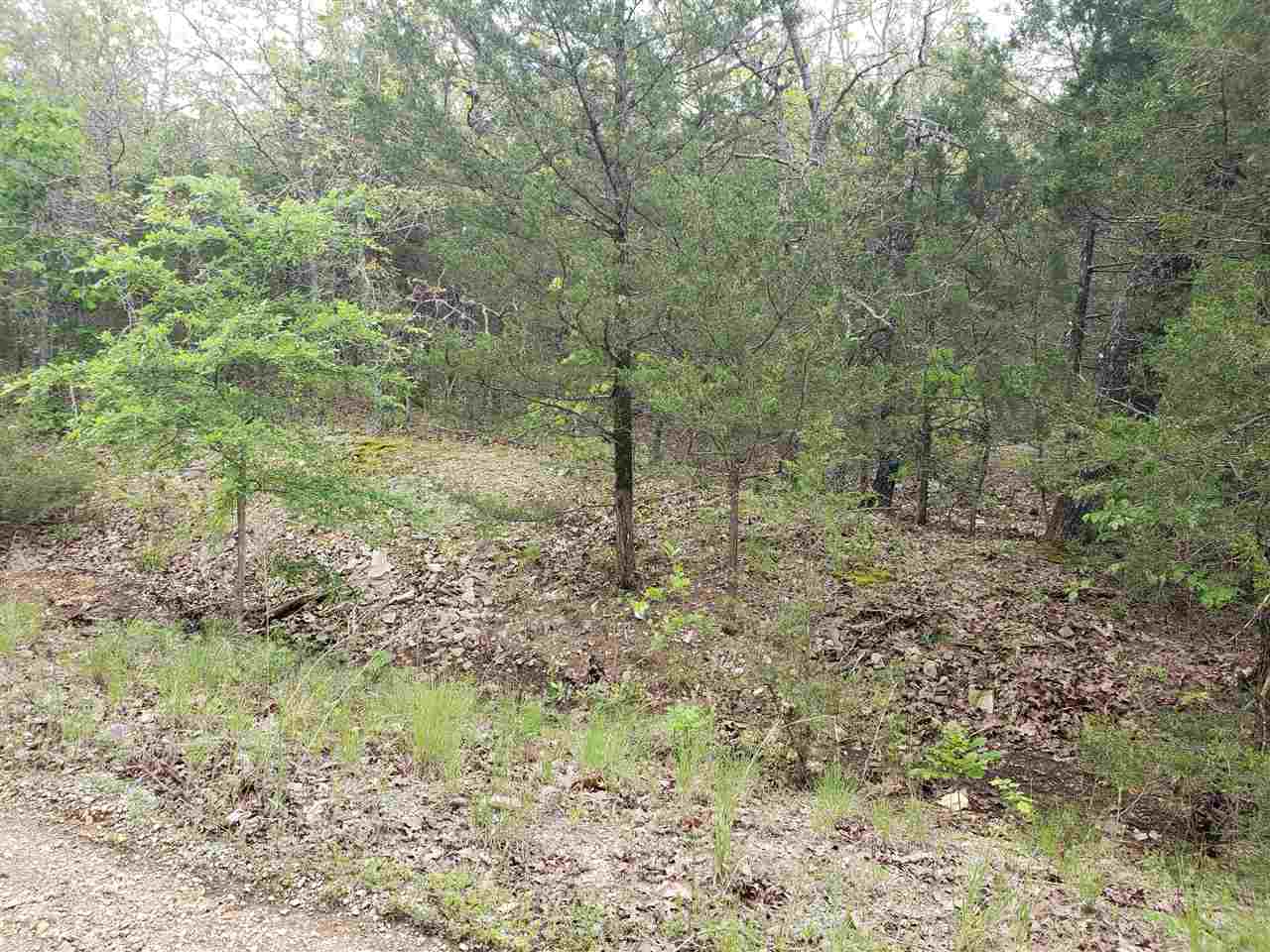 L-9 B-10 Pahokee  Cherokee Village, AR