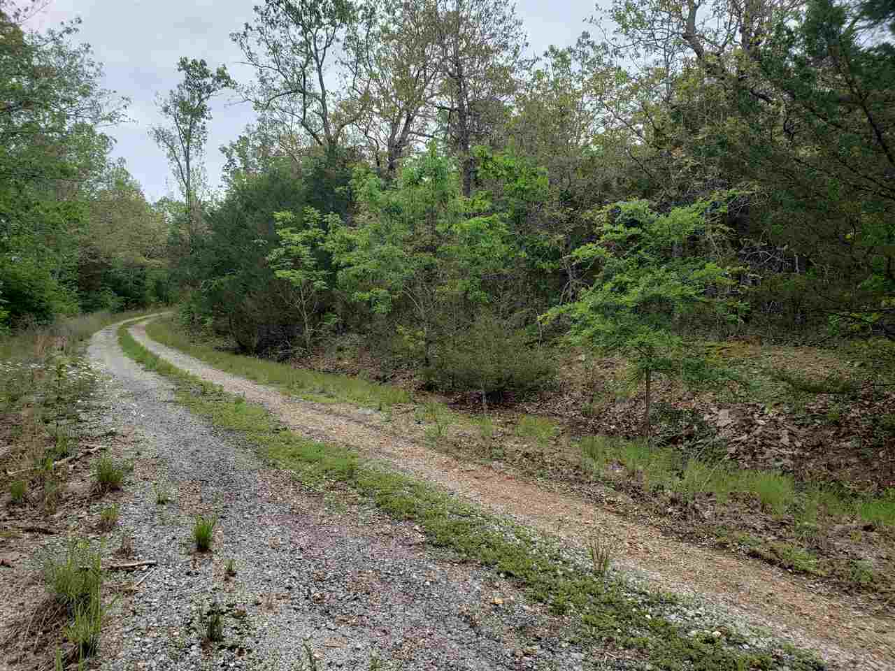 L-9 B-10 Pahokee  Cherokee Village, AR