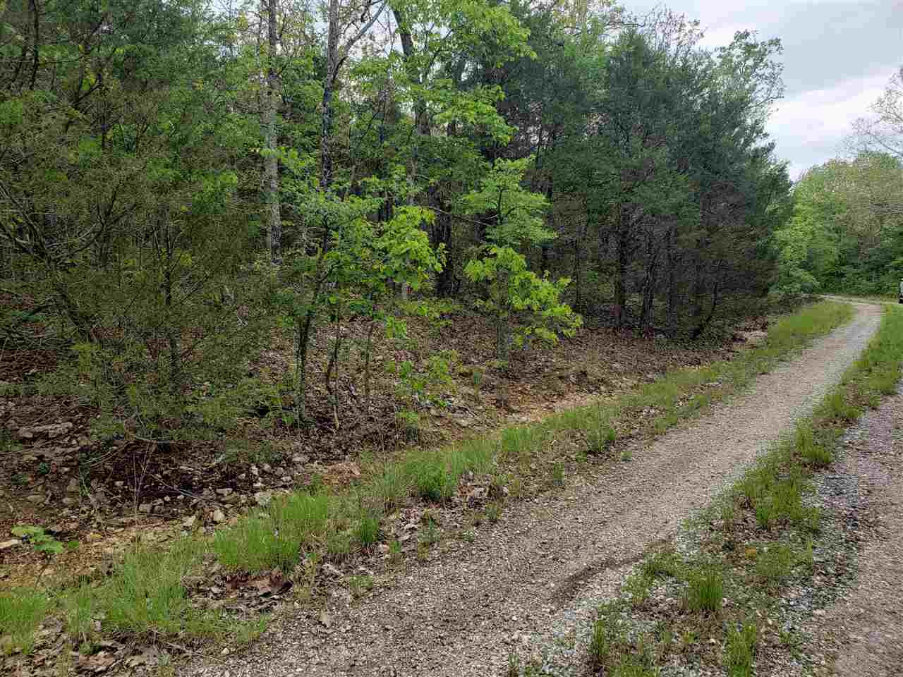 L-9 B-10 Pahokee  Cherokee Village, AR