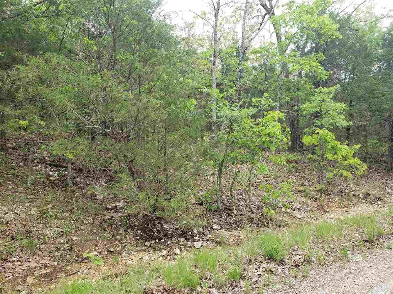 L-9 B-10 Pahokee  Cherokee Village, AR