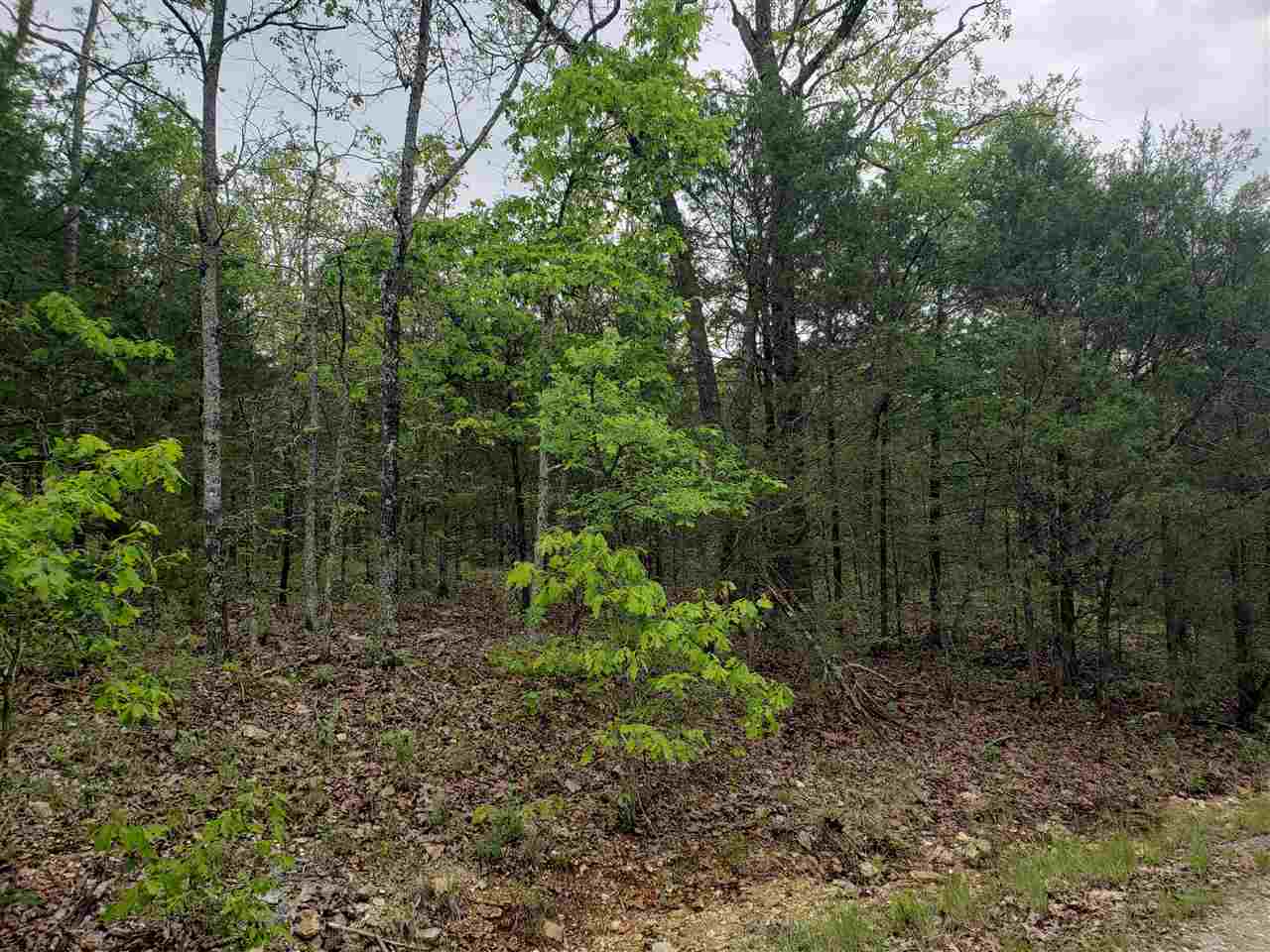 L-9 B-10 Pahokee  Cherokee Village, AR