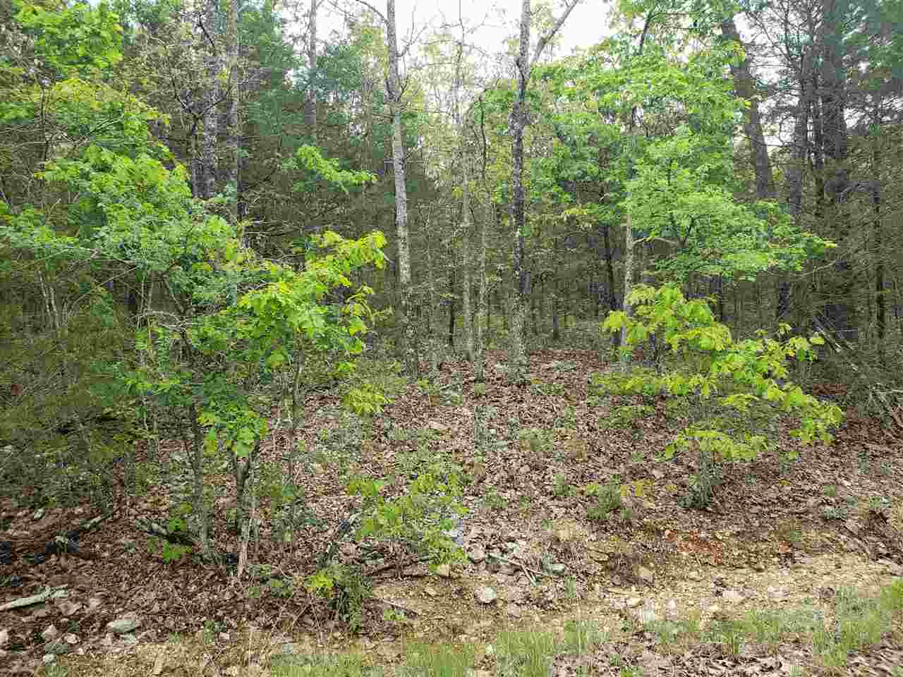 L-9 B-10 Pahokee  Cherokee Village, AR