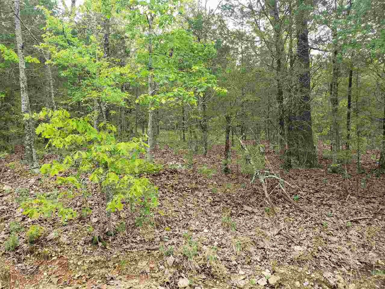 L-9 B-10 Pahokee  Cherokee Village, AR