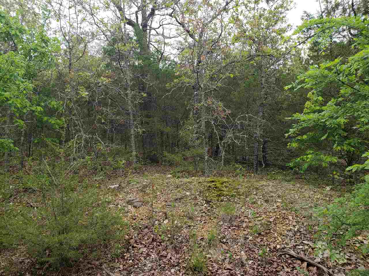 L-9 B-10 Pahokee  Cherokee Village, AR