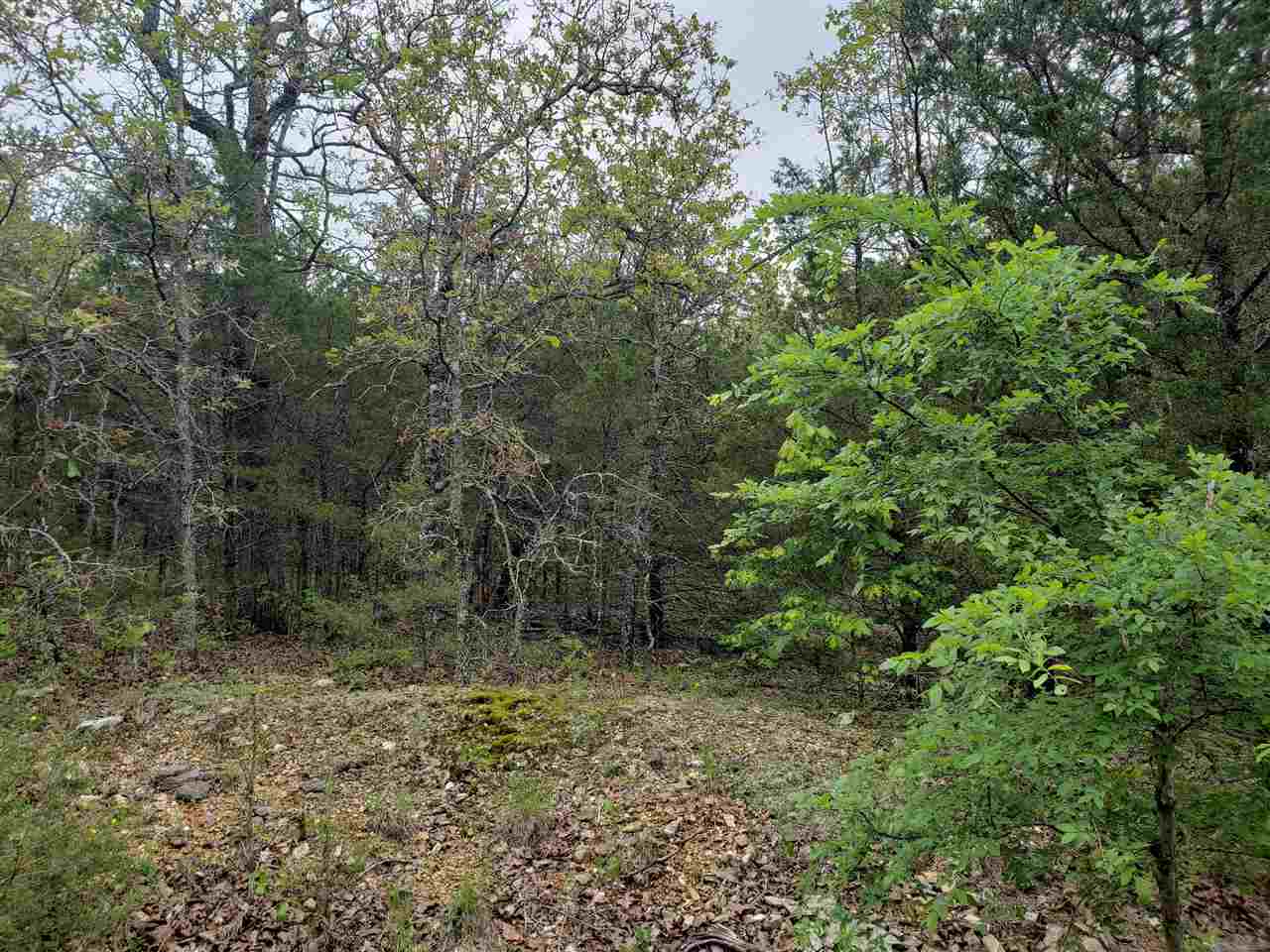 L-9 B-10 Pahokee  Cherokee Village, AR