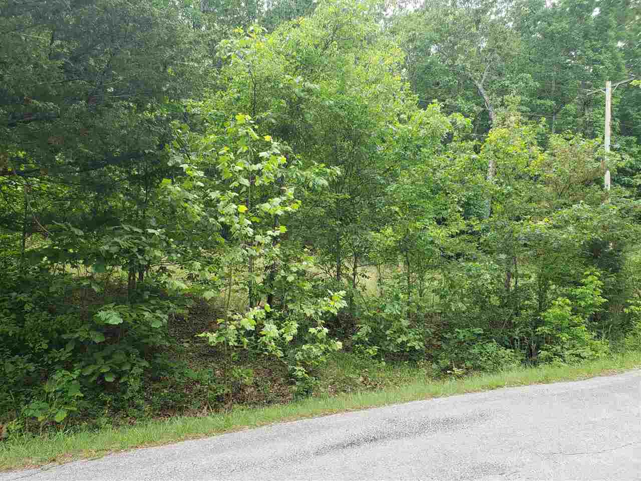 L-21 B-9 Lochloosa  Cherokee Village, AR