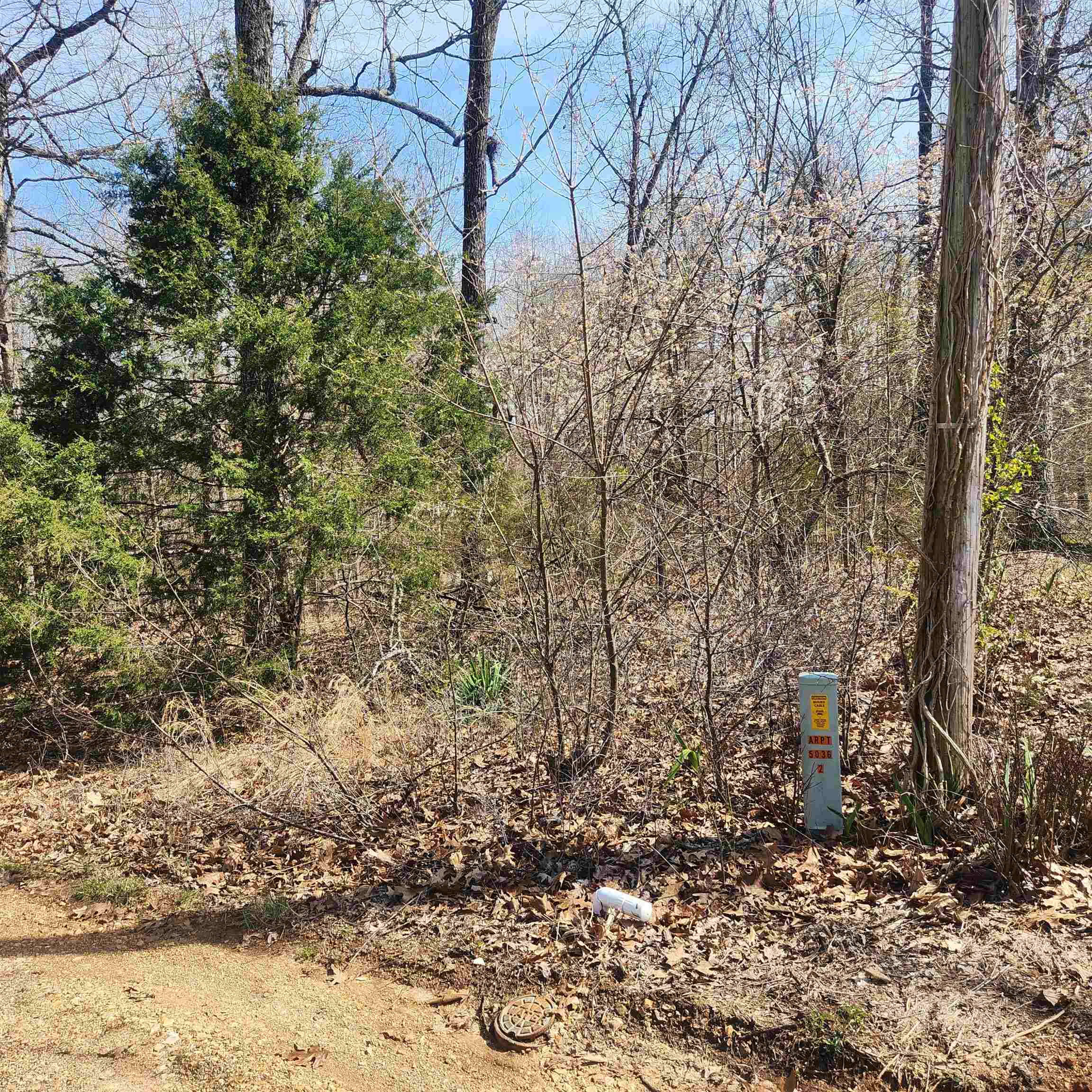 L-7, B-29 Miccosukee  Cherokee Village, AR