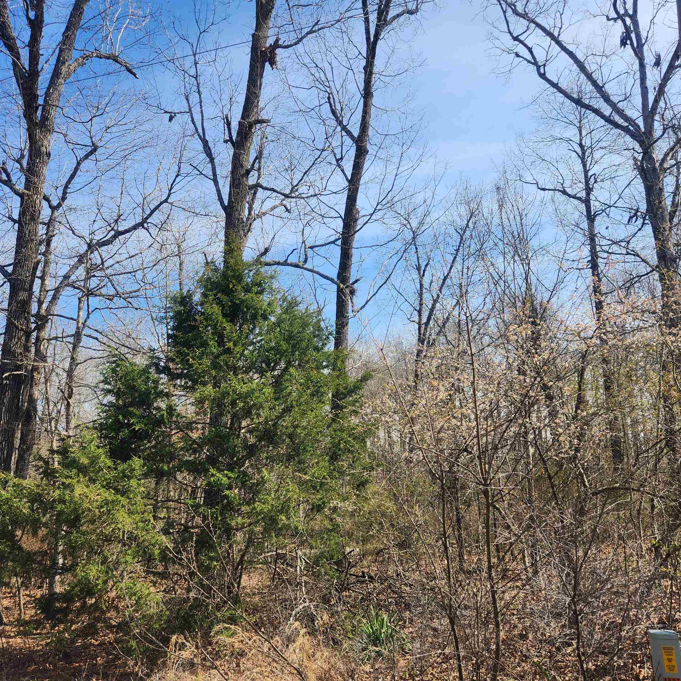 L-7, B-29 Miccosukee  Cherokee Village, AR