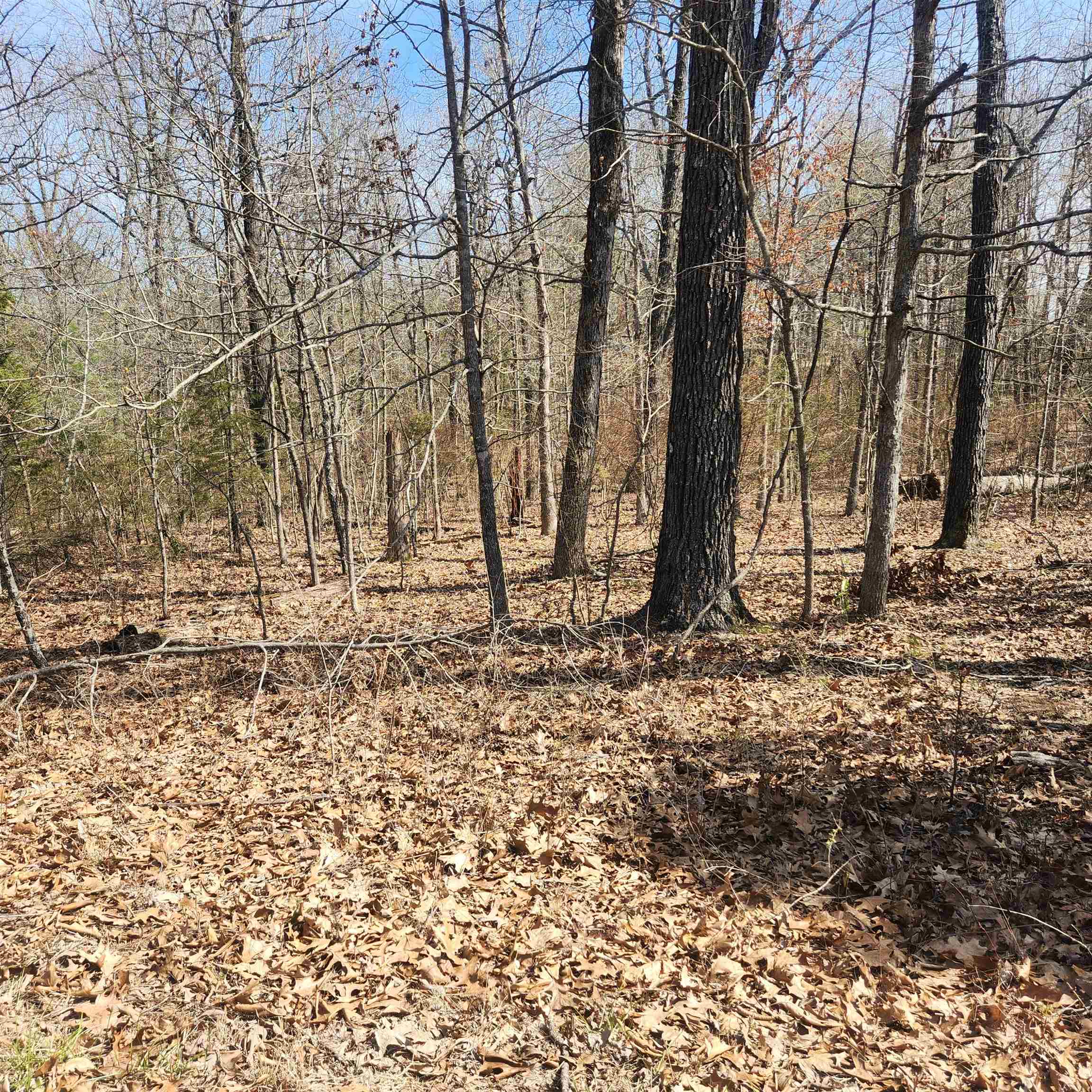L-7, B-29 Miccosukee  Cherokee Village, AR