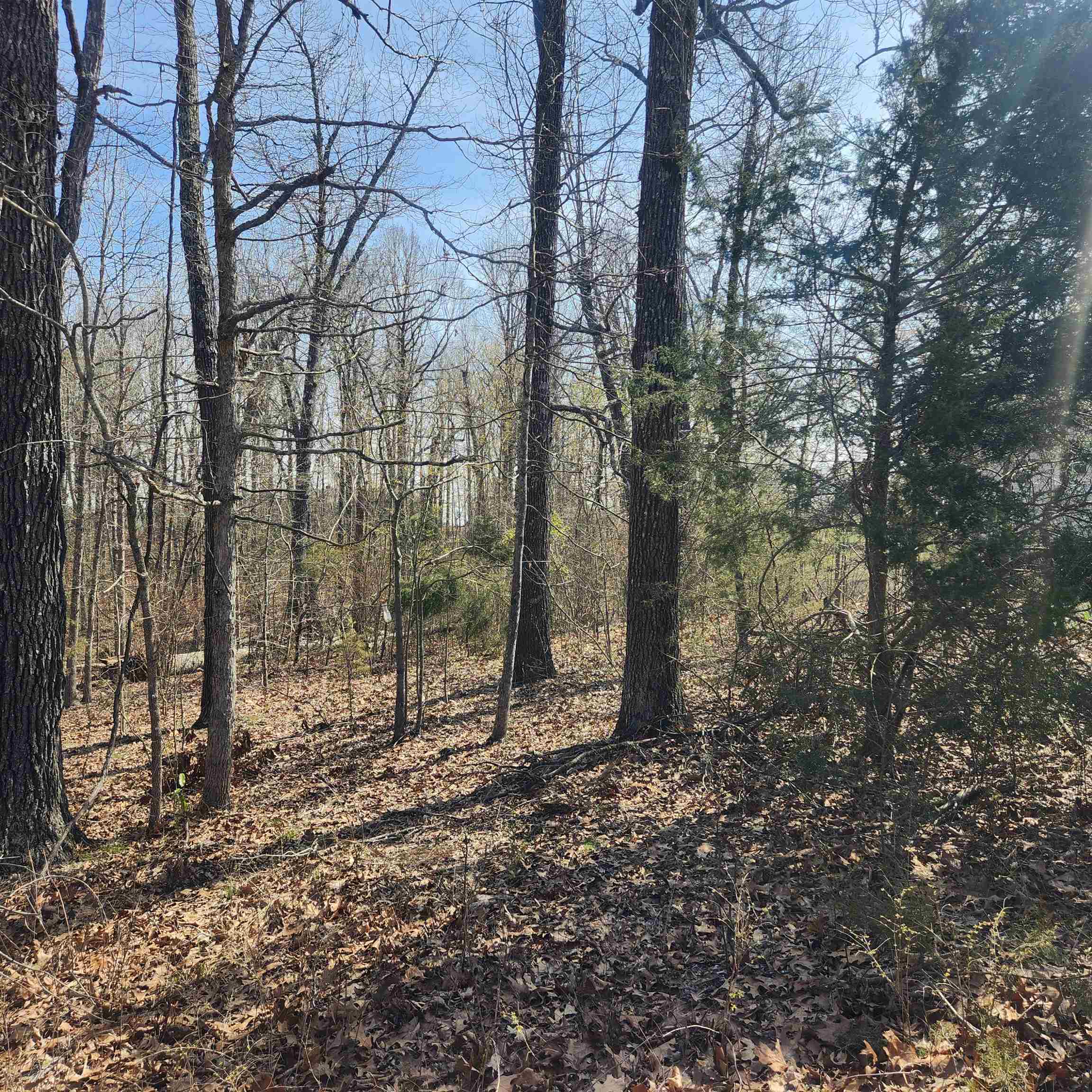 L-7, B-29 Miccosukee  Cherokee Village, AR