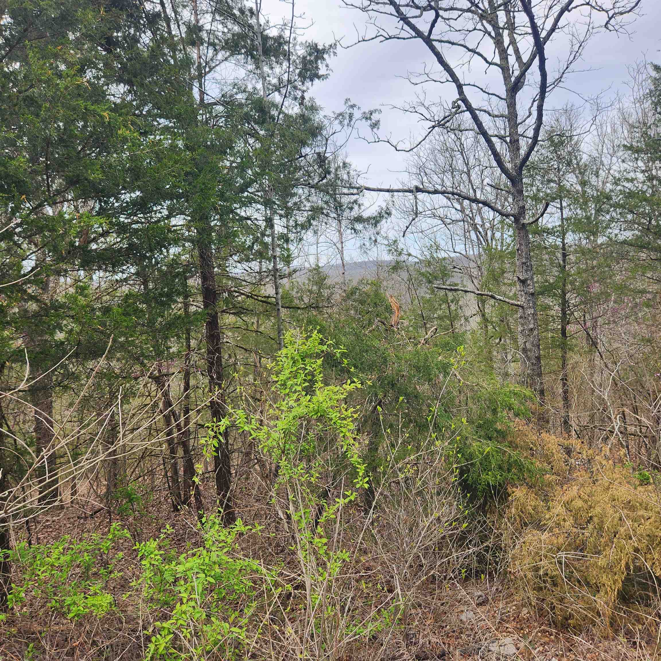 L-8, B-11 Choctaw  Cherokee Village, AR