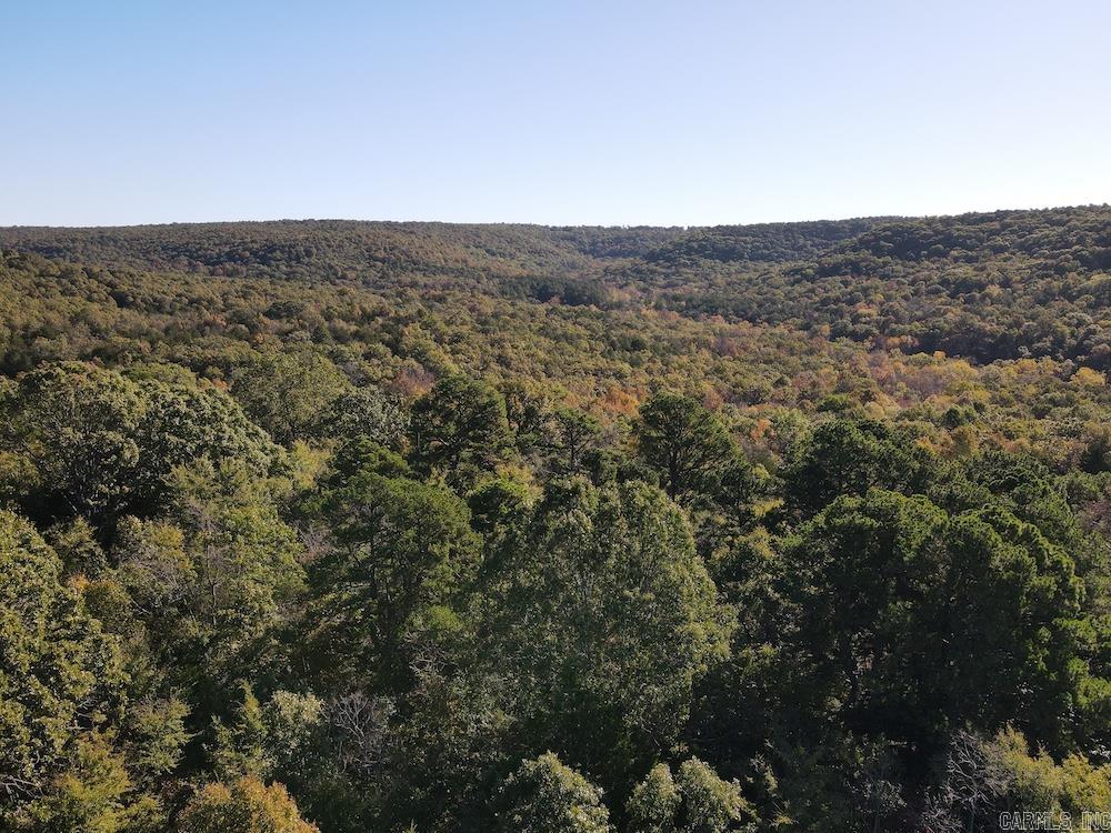  CR 939  Berryville, AR