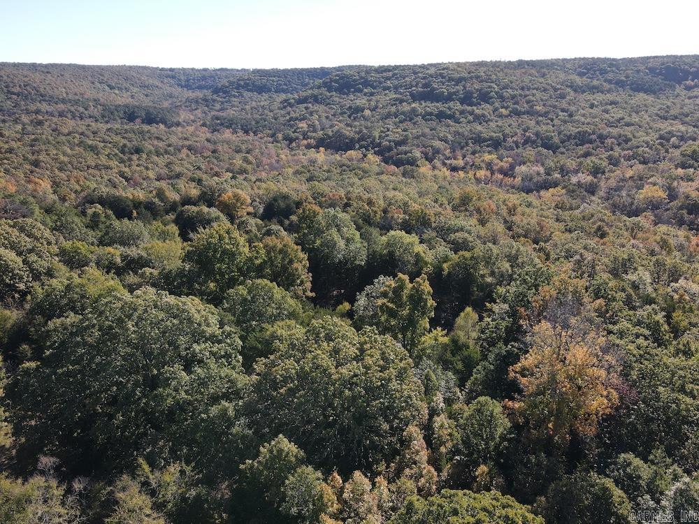  CR 939  Berryville, AR