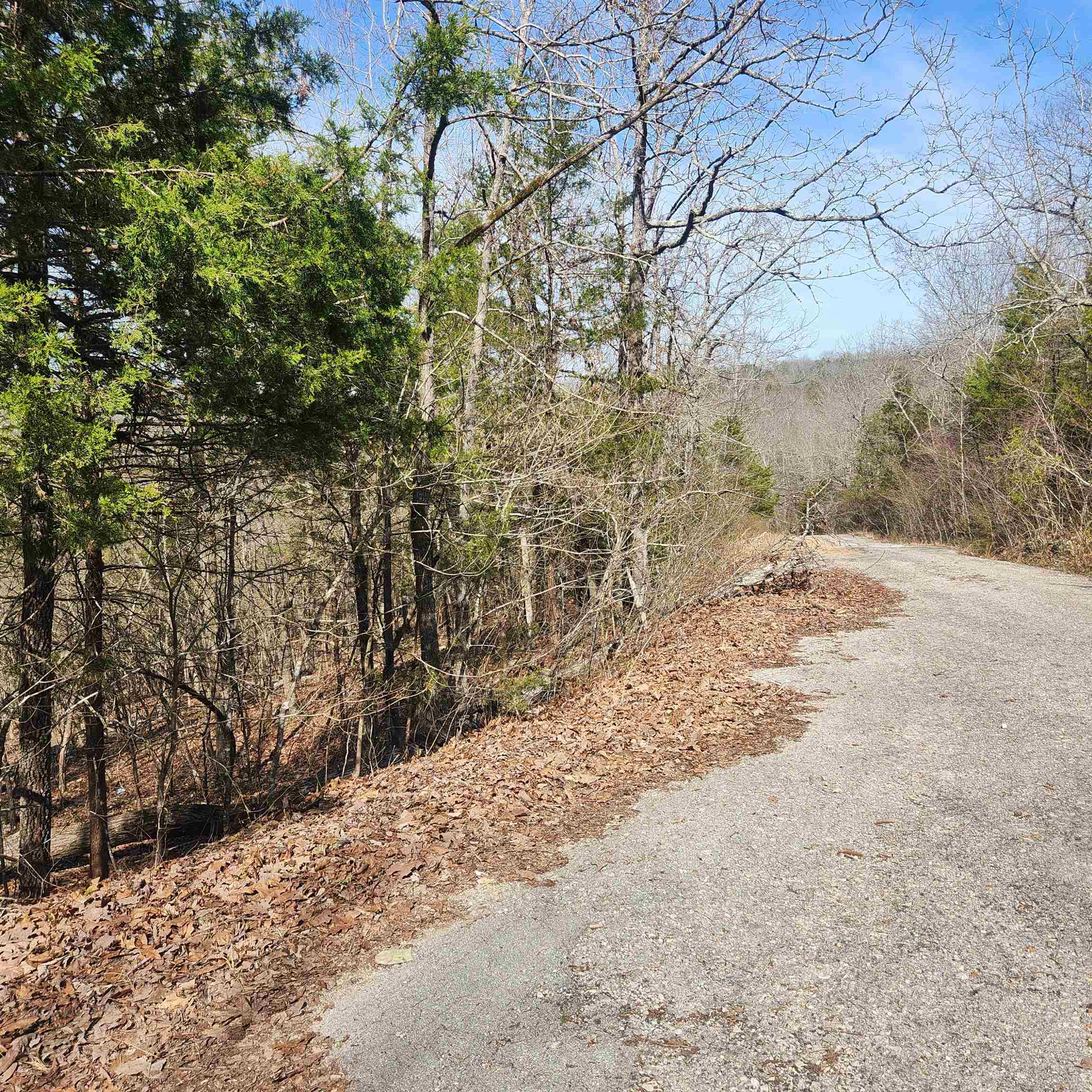 L-43, B-4 Warclub  Cherokee Village, AR