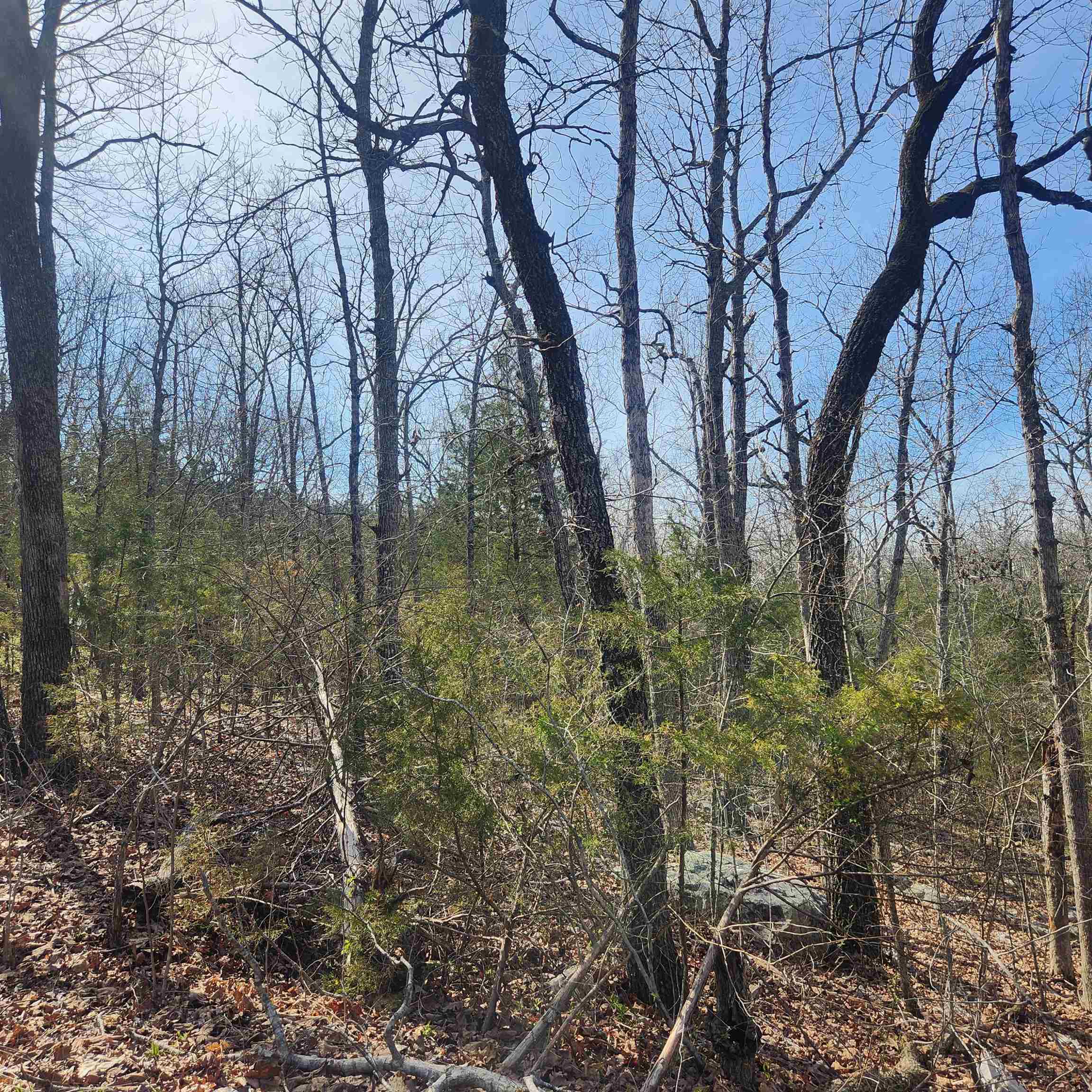 L-43, B-4 Warclub  Cherokee Village, AR