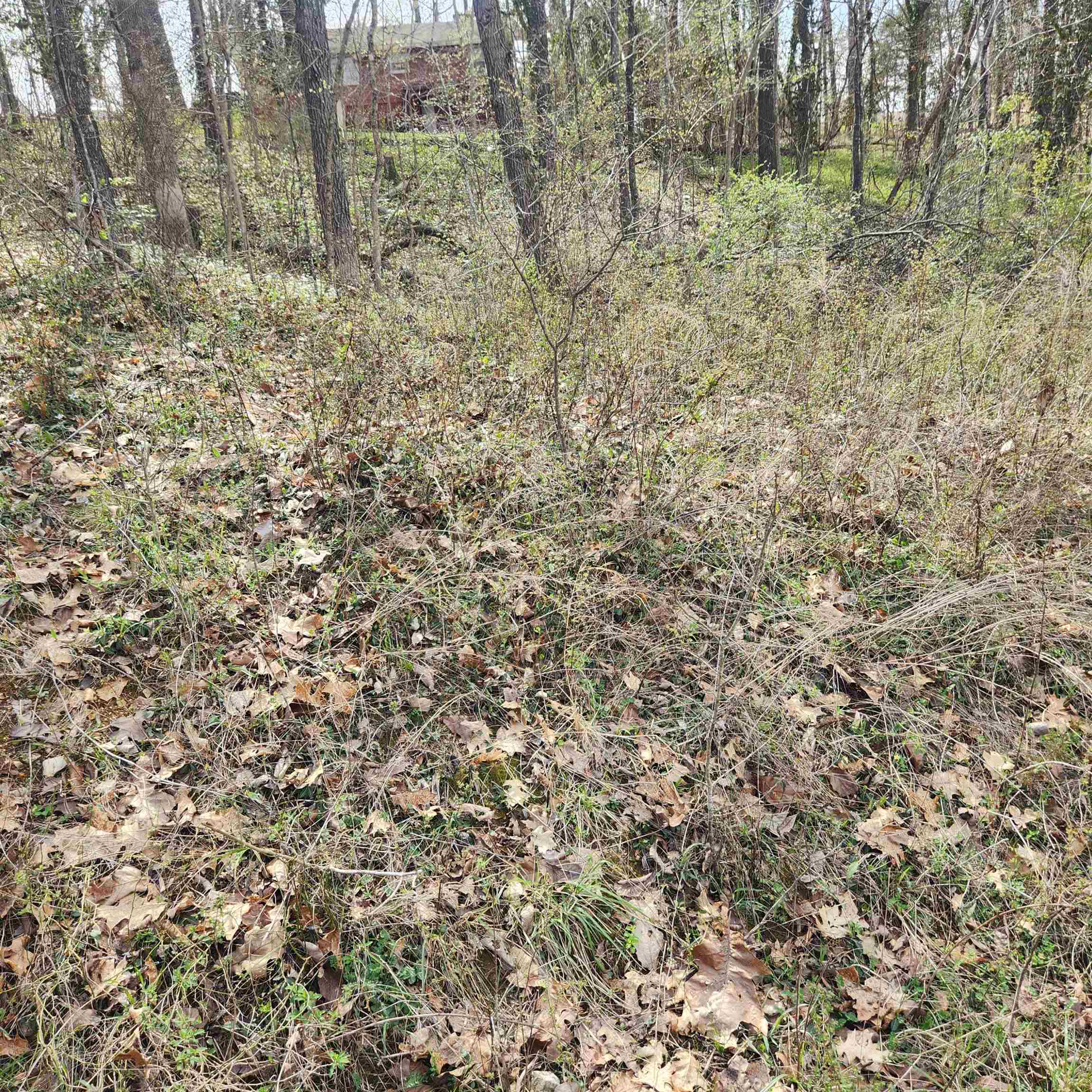 L-6, B-4 Tomahawk  Cherokee Village, AR