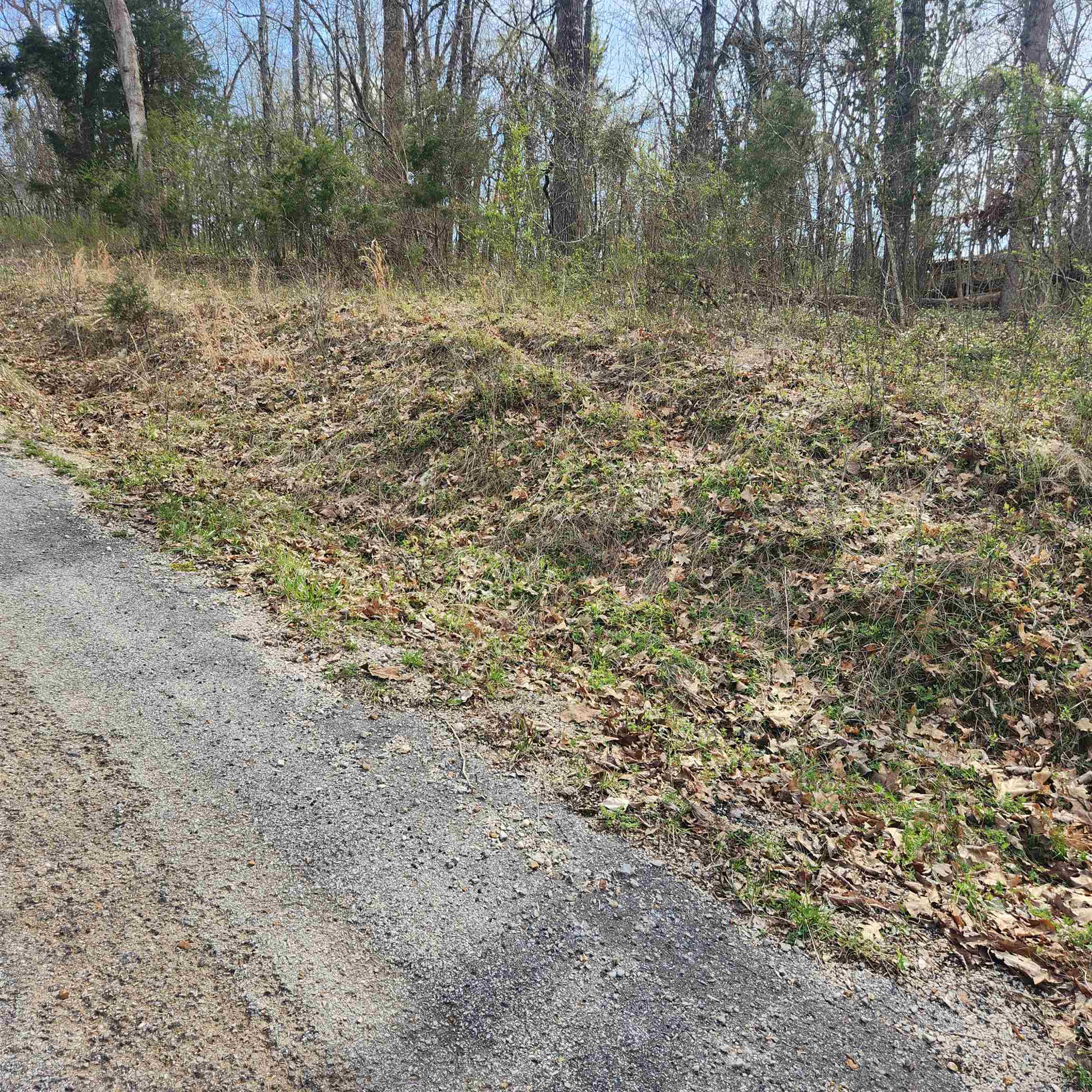 L-6, B-4 Tomahawk  Cherokee Village, AR