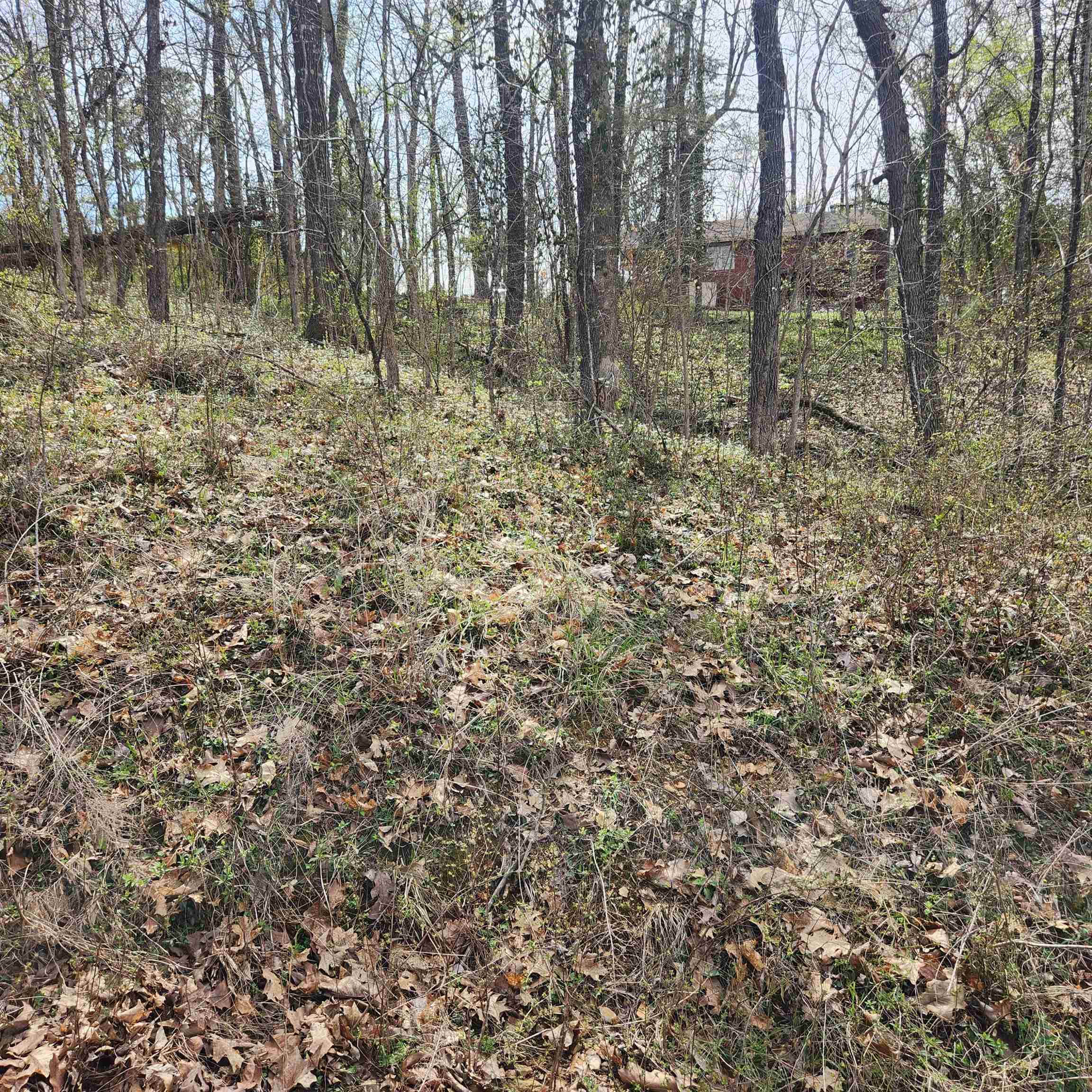 L-6, B-4 Tomahawk  Cherokee Village, AR