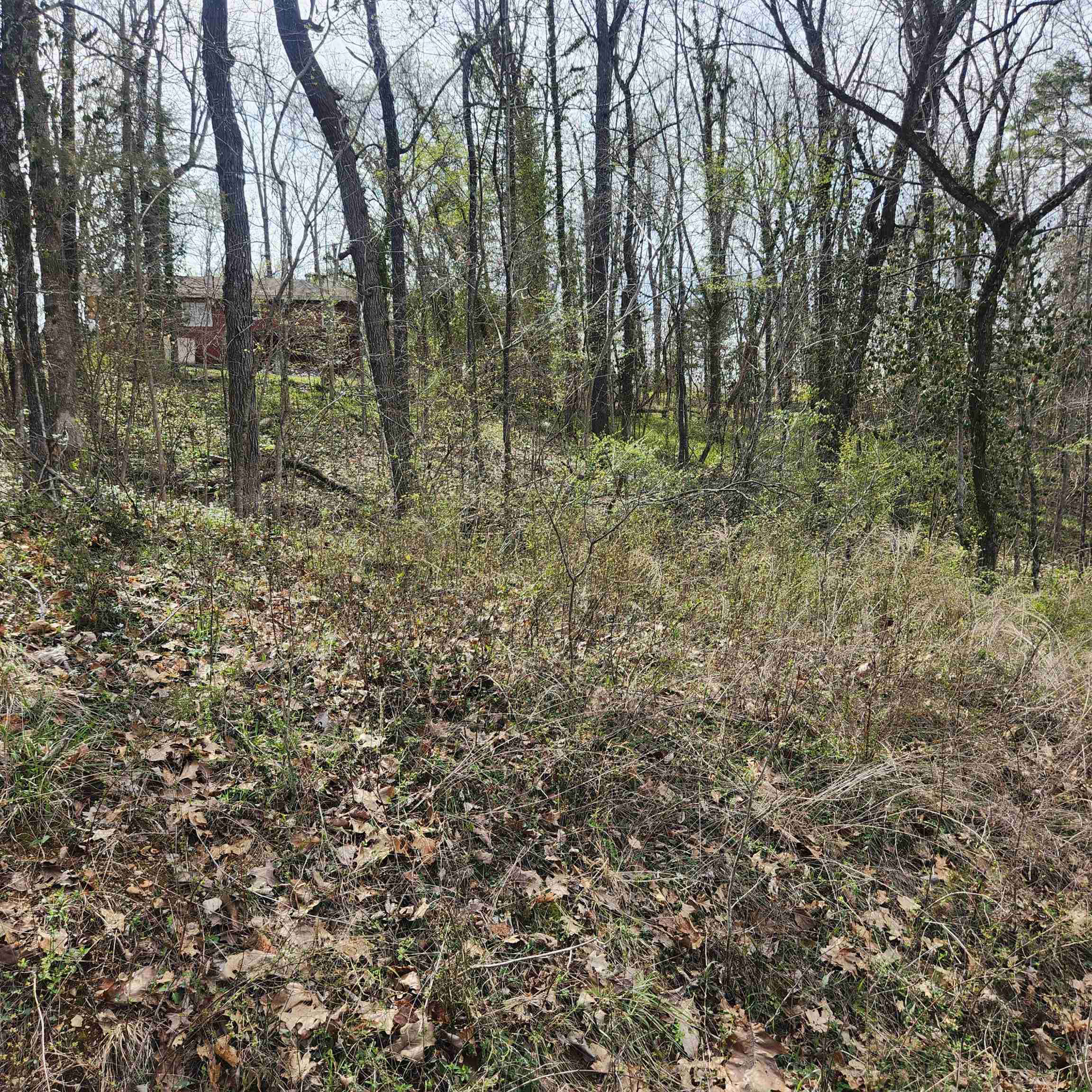 L-6, B-4 Tomahawk  Cherokee Village, AR