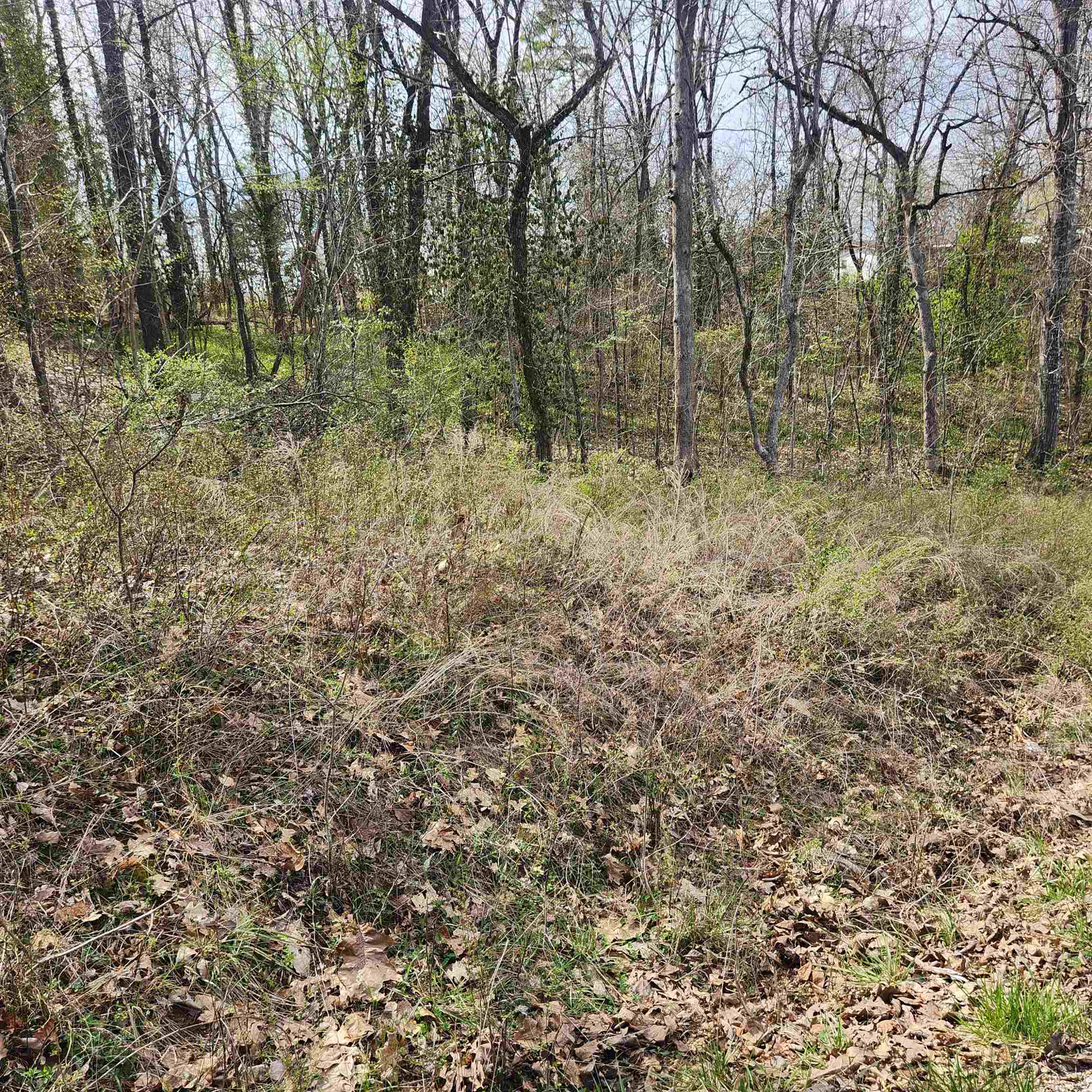 L-6, B-4 Tomahawk  Cherokee Village, AR