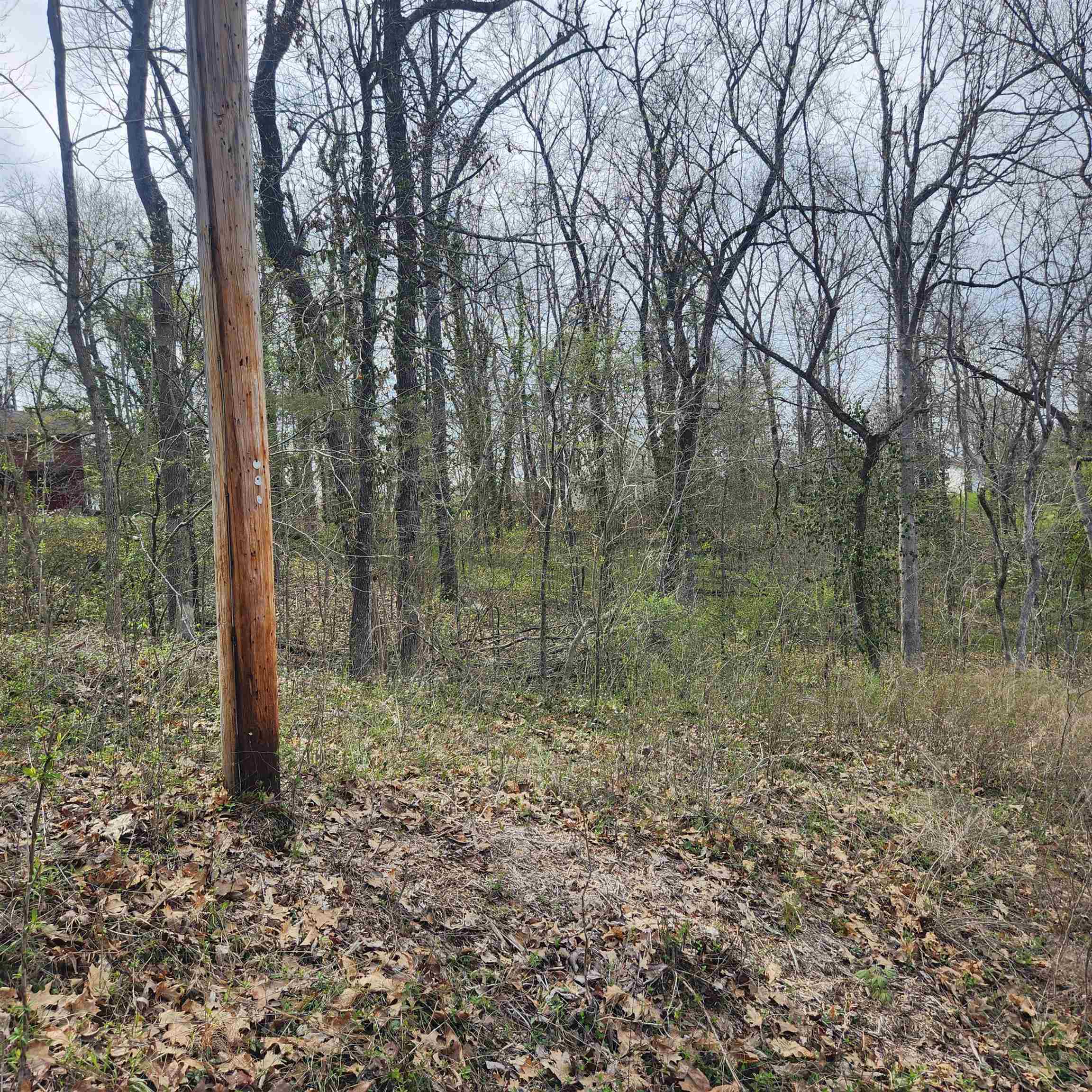 L-6, B-4 Tomahawk  Cherokee Village, AR