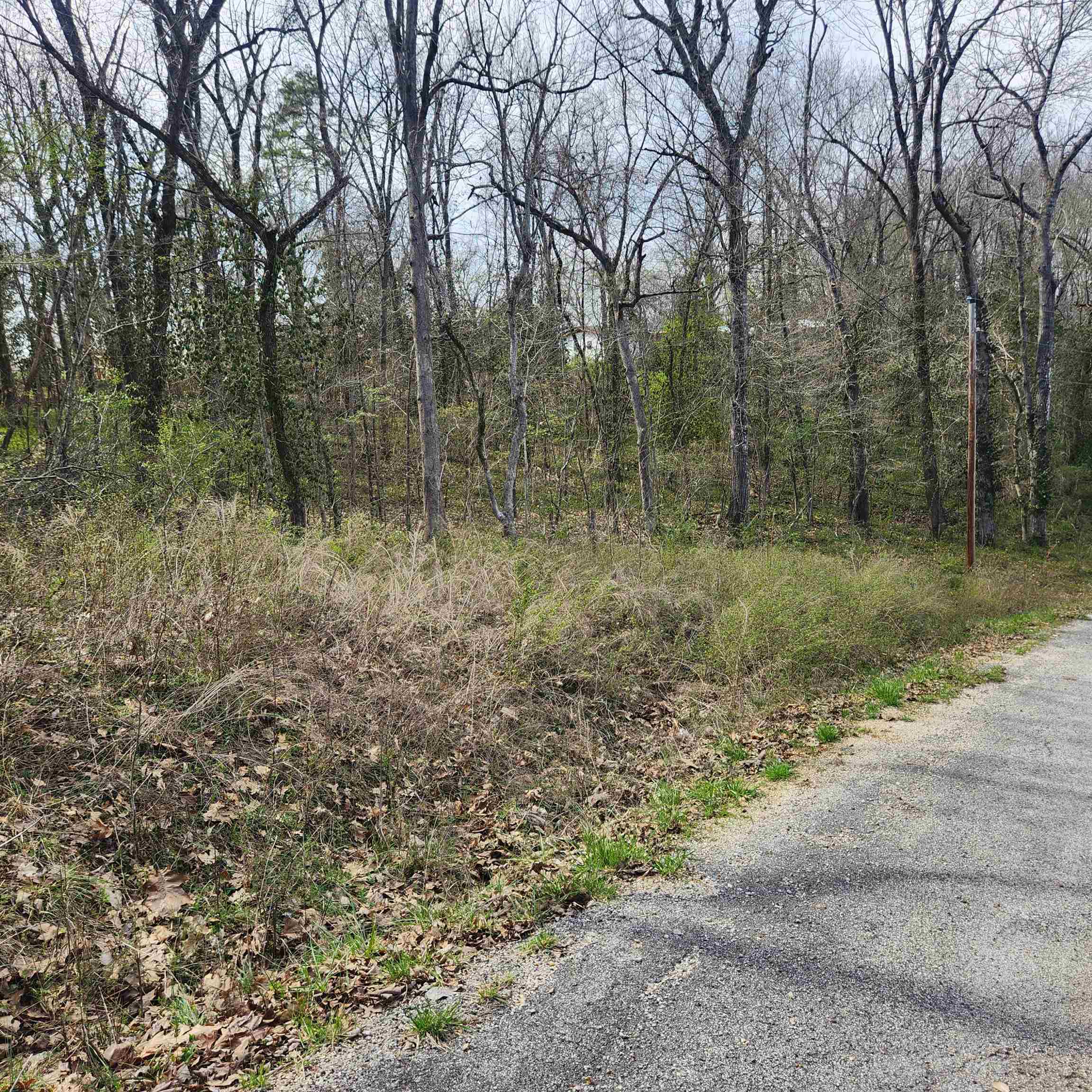 L-6, B-4 Tomahawk  Cherokee Village, AR