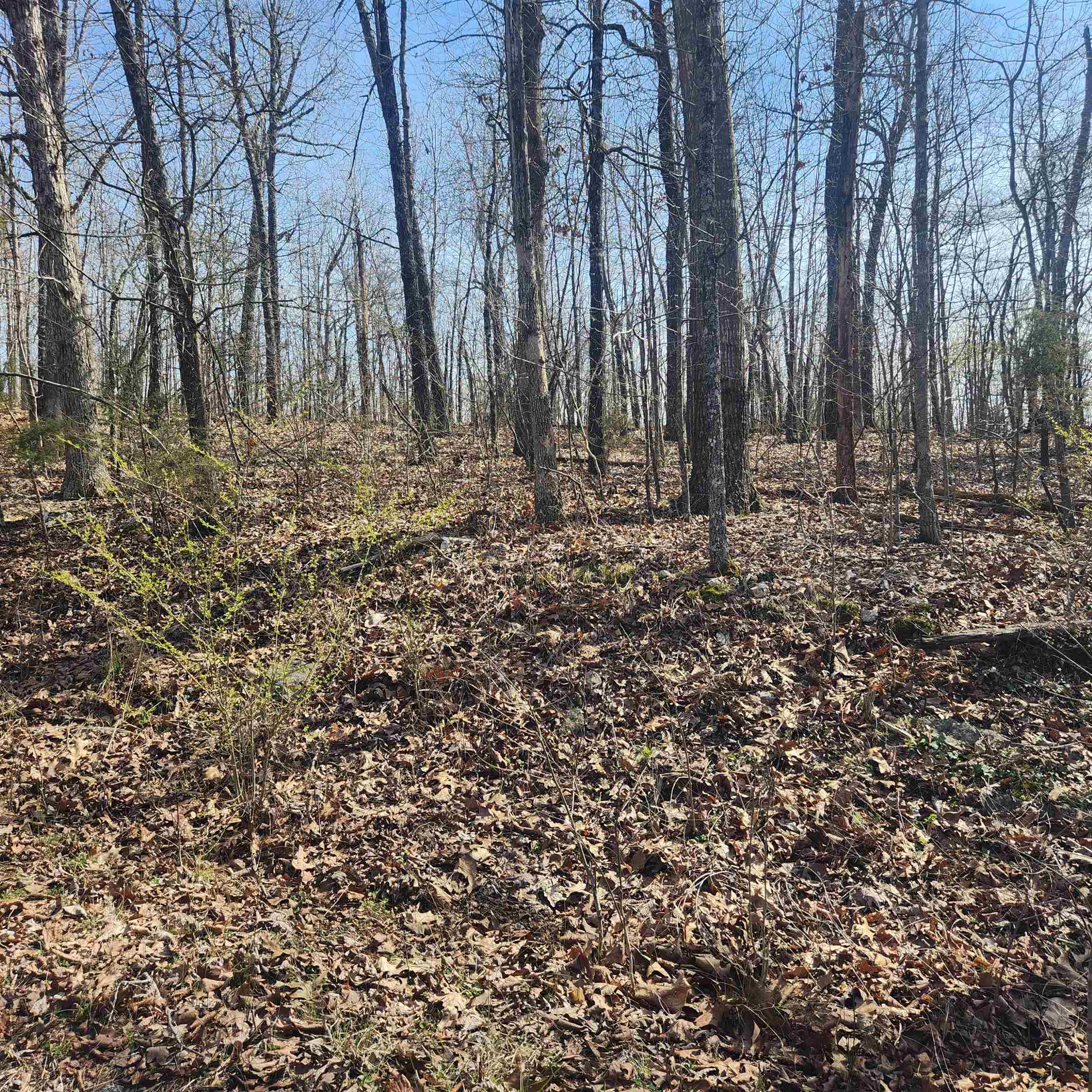 L-4, B-6 Chickasaw  Cherokee Village, AR