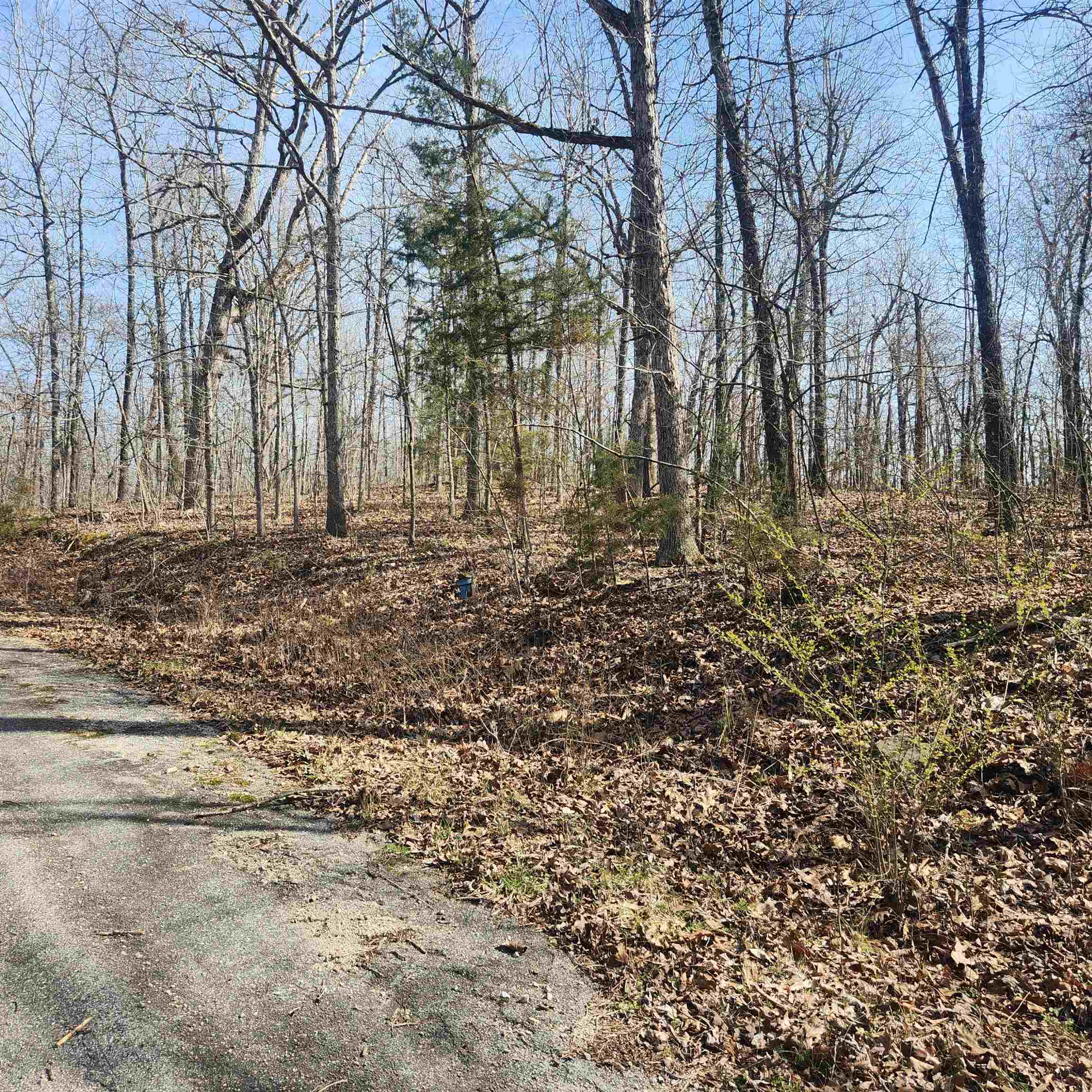 L-4, B-6 Chickasaw  Cherokee Village, AR