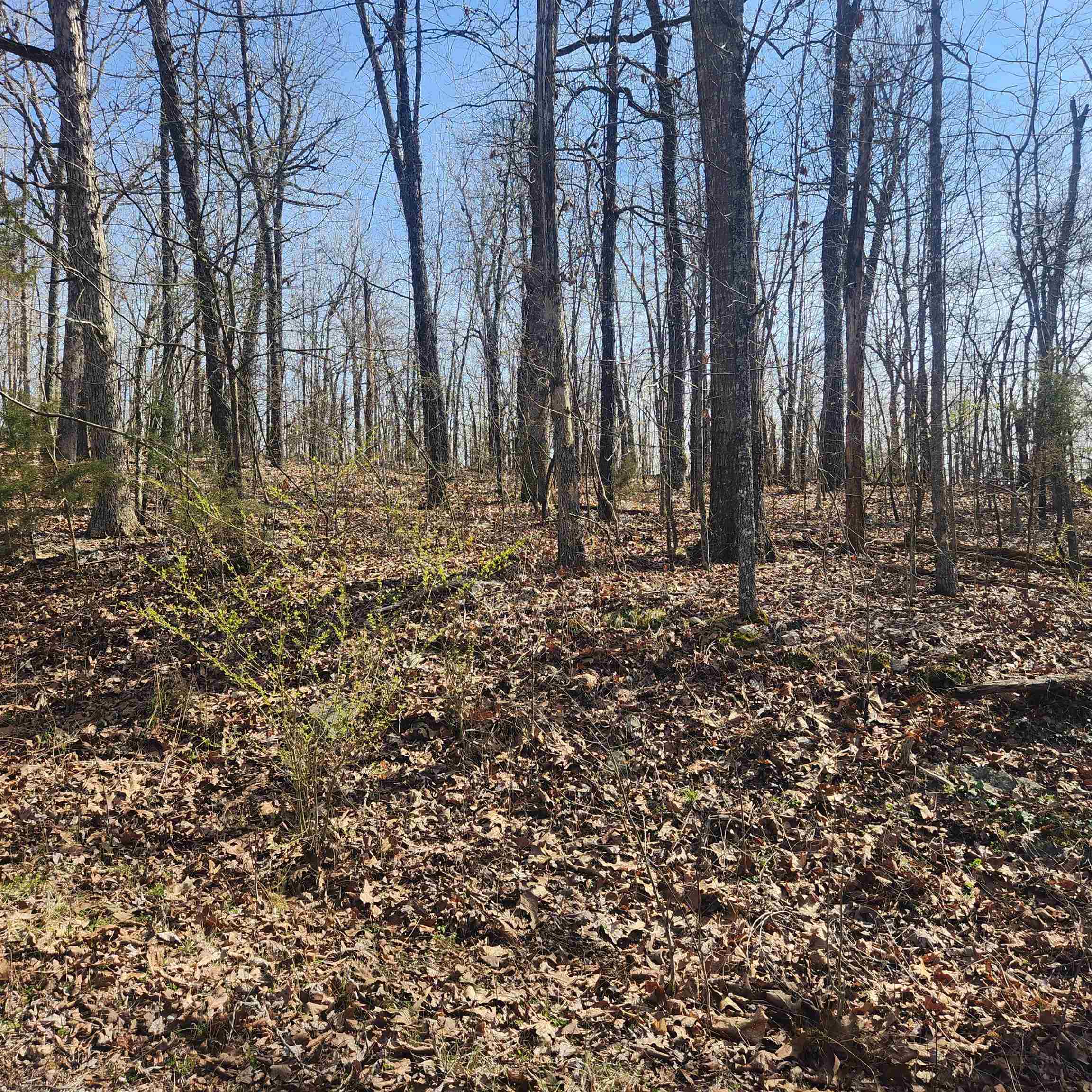 L-4, B-6 Chickasaw  Cherokee Village, AR