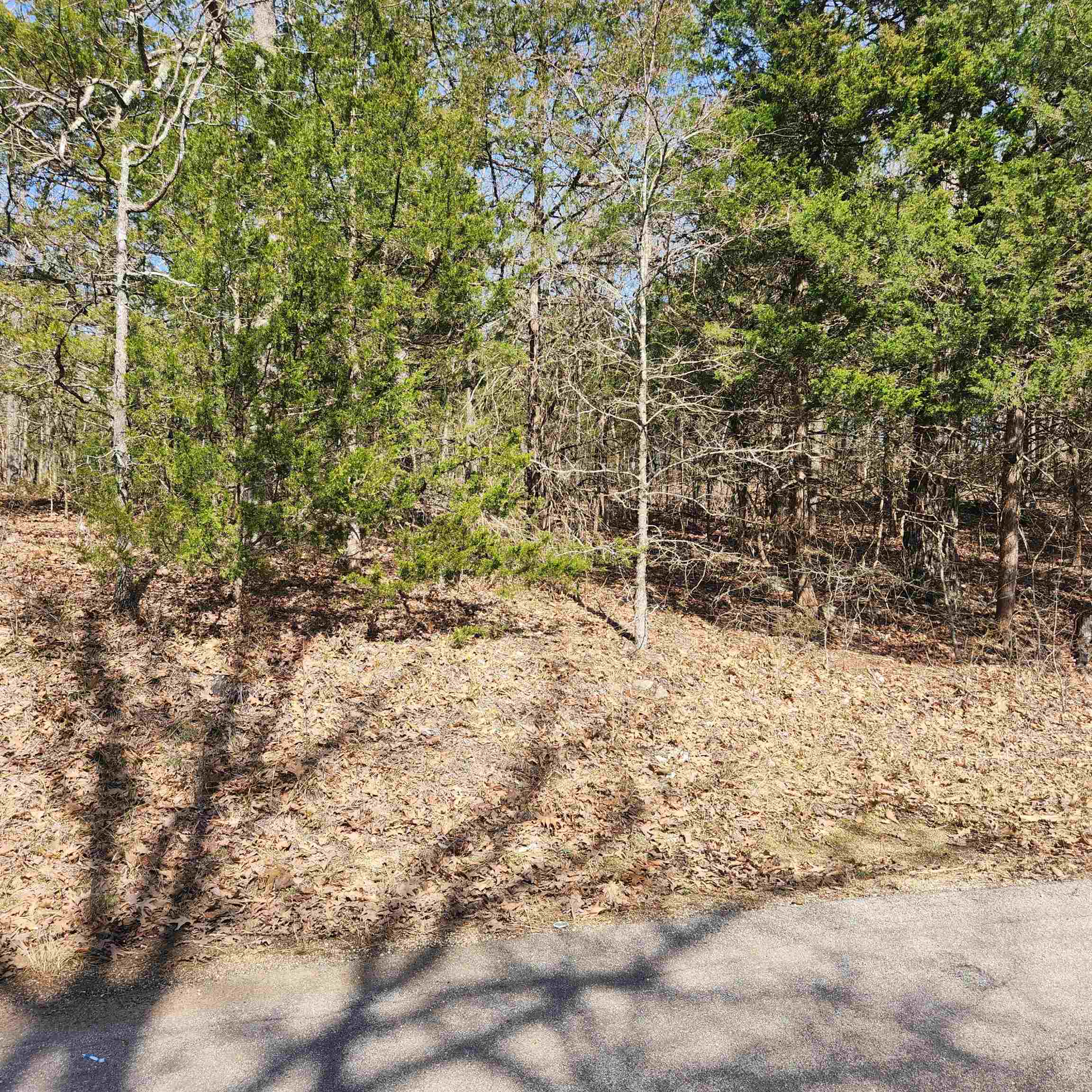 L-10, B-17 Hiawatha  Cherokee Village, AR